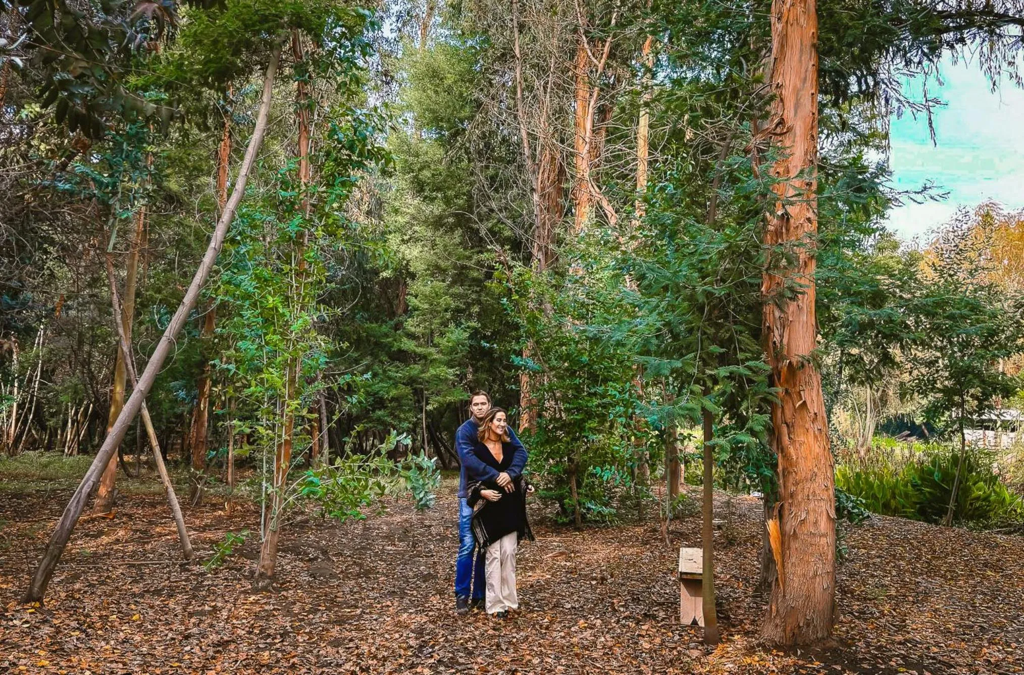 Natural landscape in Cava Colchagua Hotel Boutique