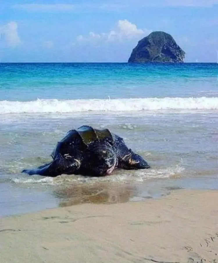 Nearby landmark in KANALU BEACH APPATEMENT