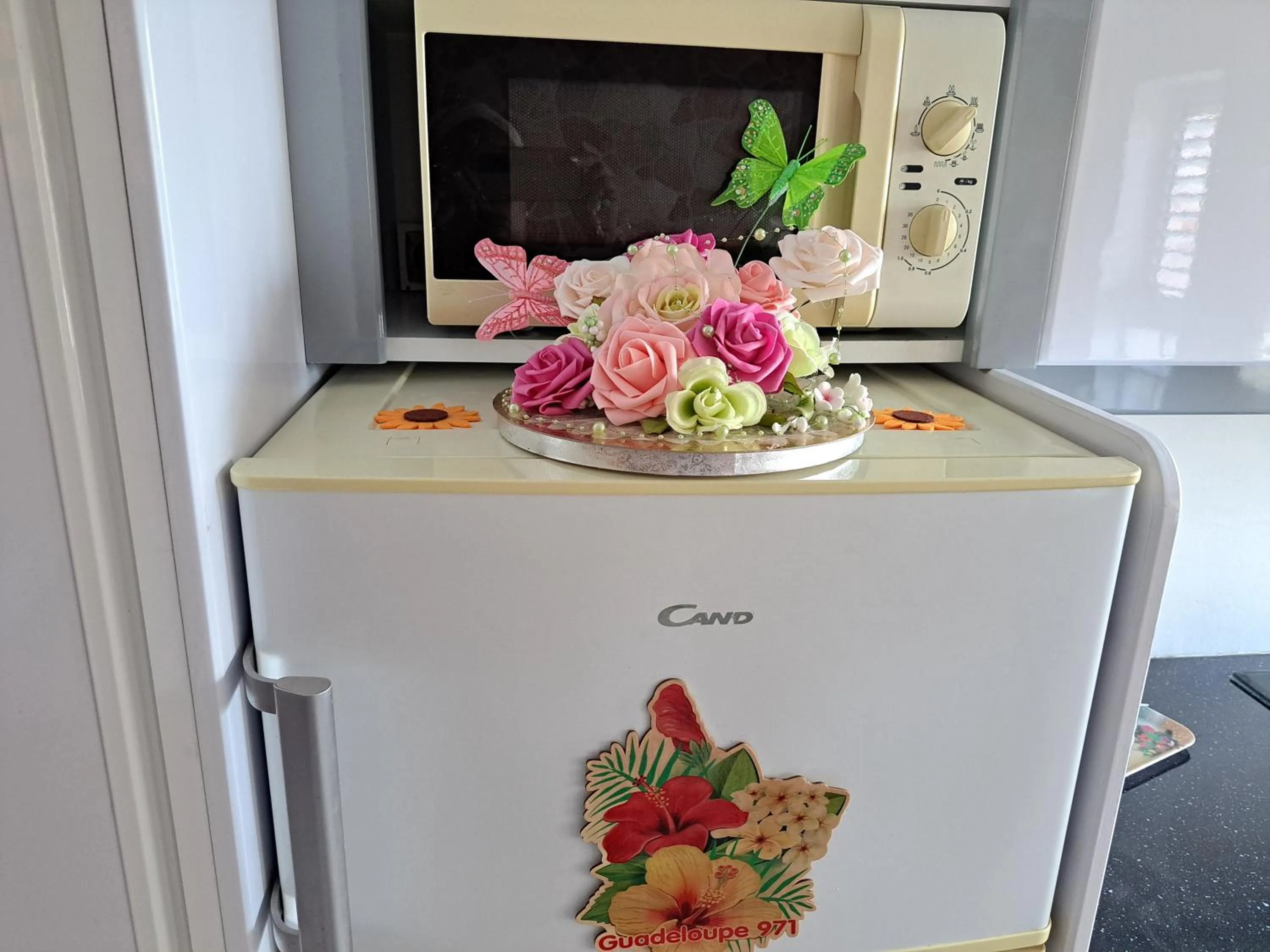 Kitchen or kitchenette in KANALU BEACH APPATEMENT