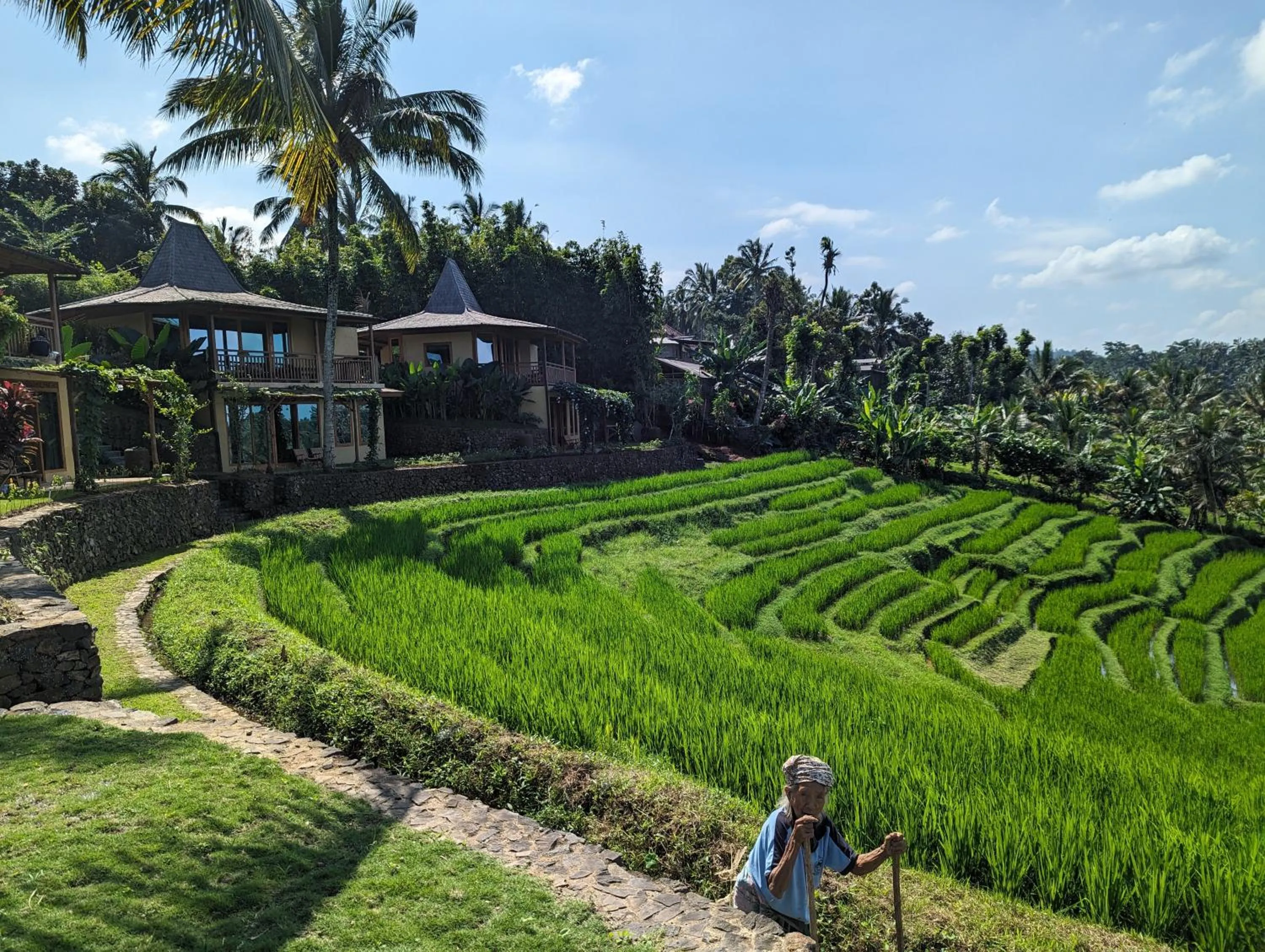 Property building in Puri Dajuma Terrace Eco Lodge & Spa