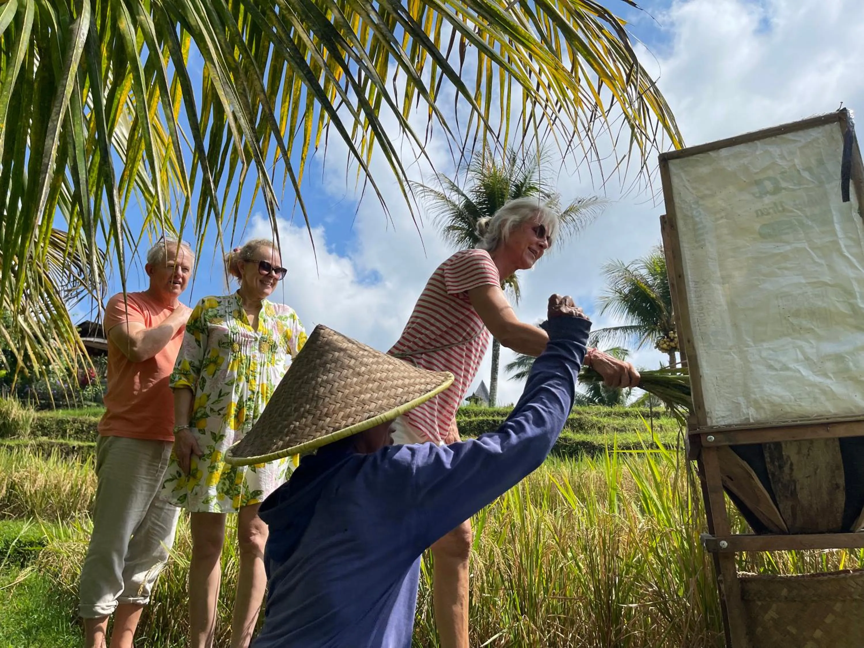 Activities in Puri Dajuma Terrace Eco Lodge & Spa