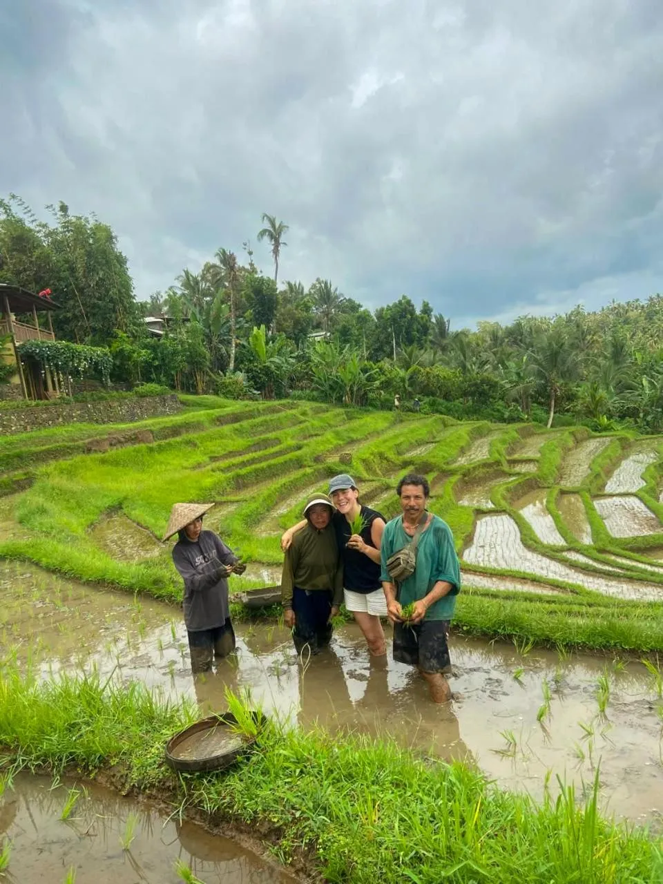 Day in Puri Dajuma Terrace Eco Lodge & Spa