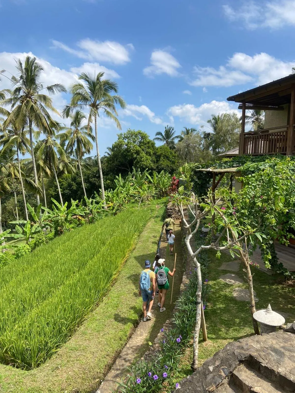 Activities in Puri Dajuma Terrace Eco Lodge & Spa