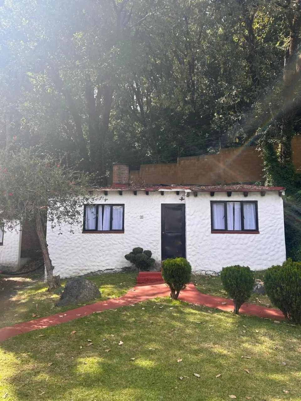 Garden view in Club Santa Maria