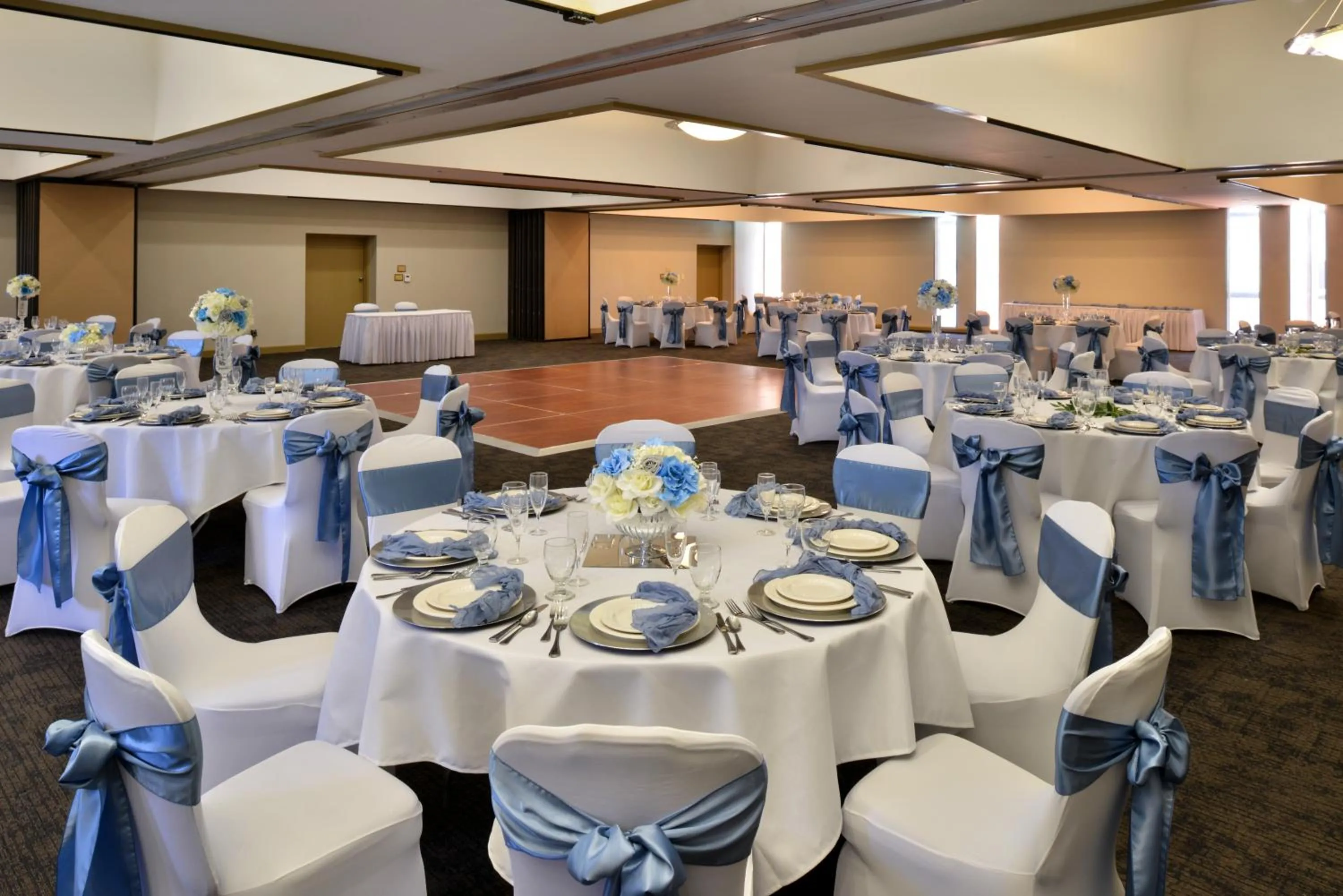 Banquet/Function facilities in Hawthorne Inn & Conference Center