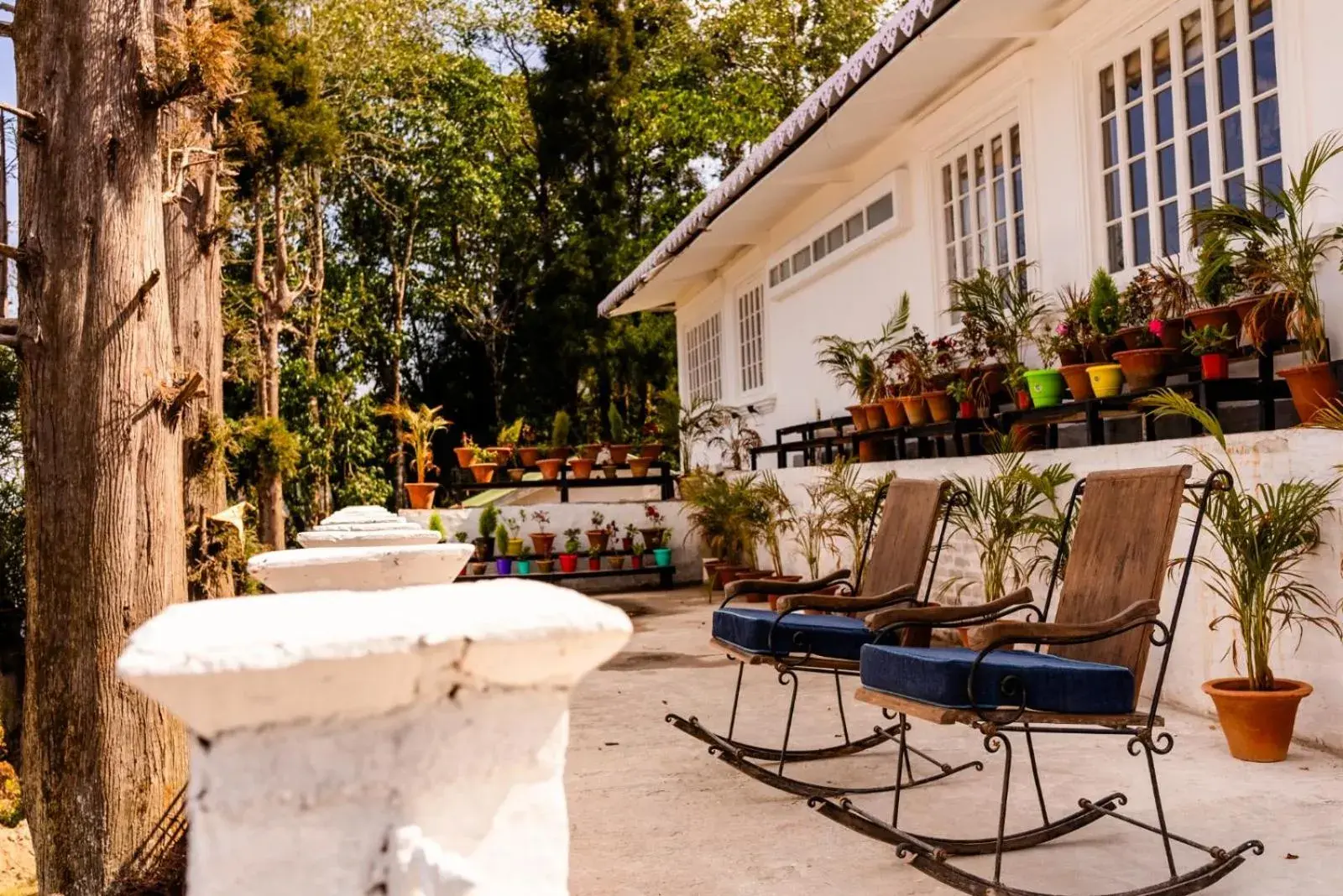 Property building in Chhota Haazri, By The Rajbari Bawali Property building in Chhota Haazri, By The Rajbari Bawali