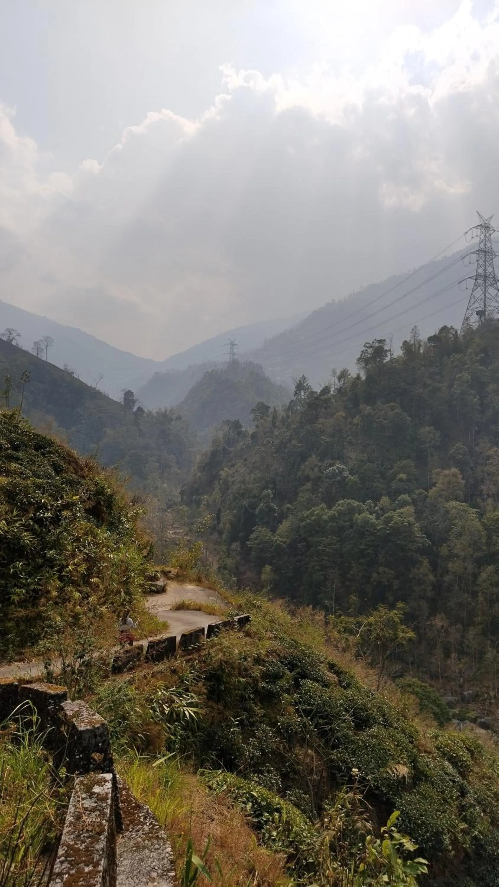 Natural landscape in Chhota Haazri, By The Rajbari Bawali