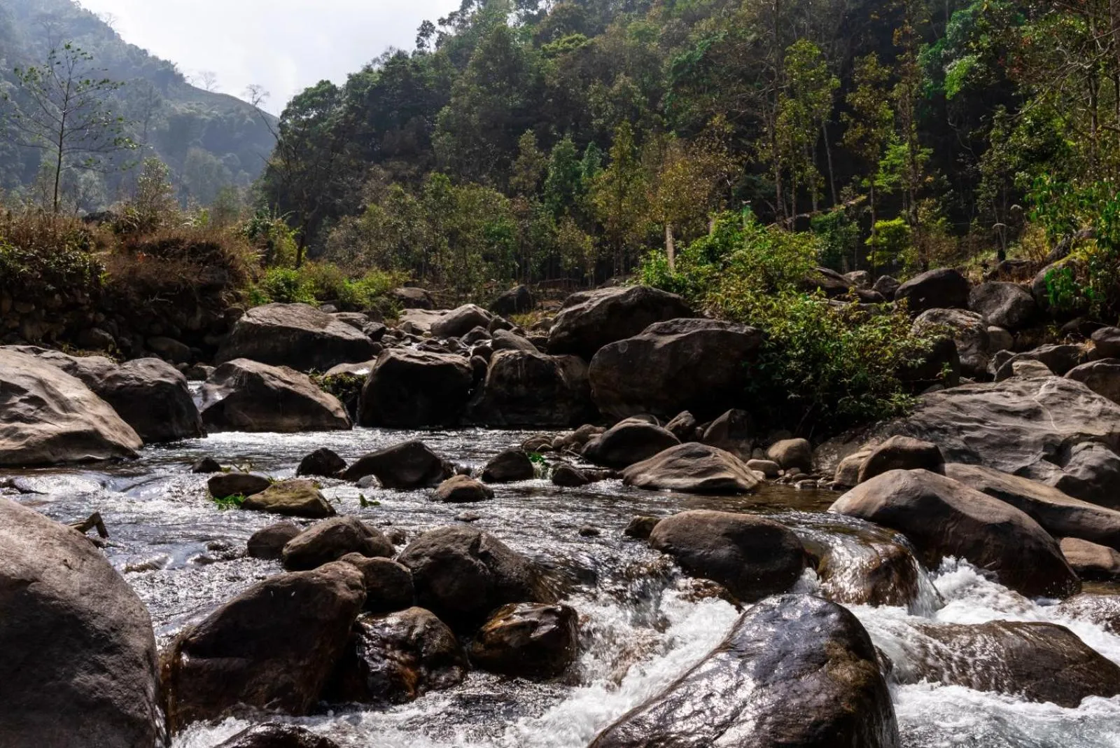 Hiking in Chhota Haazri, By The Rajbari Bawali