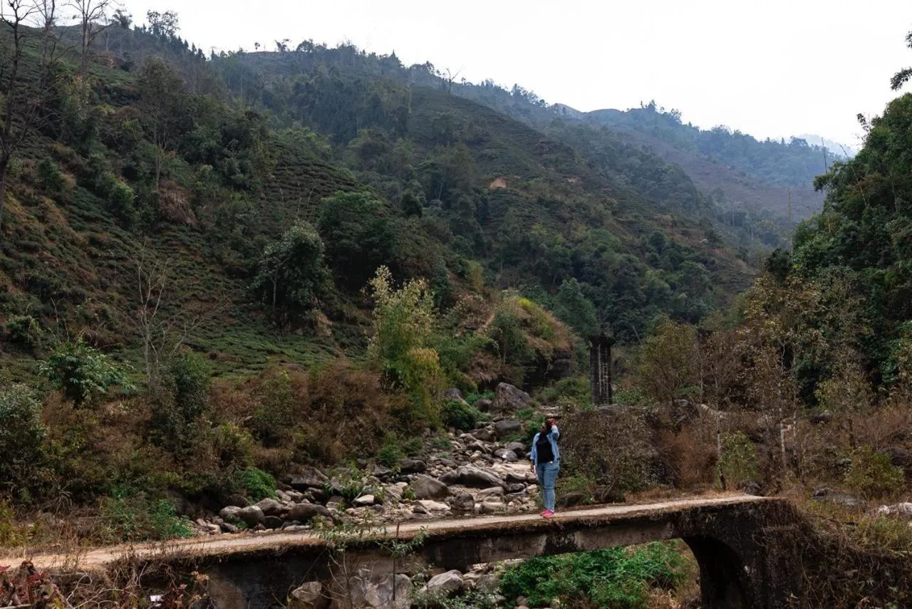 Hiking in Chhota Haazri, By The Rajbari Bawali