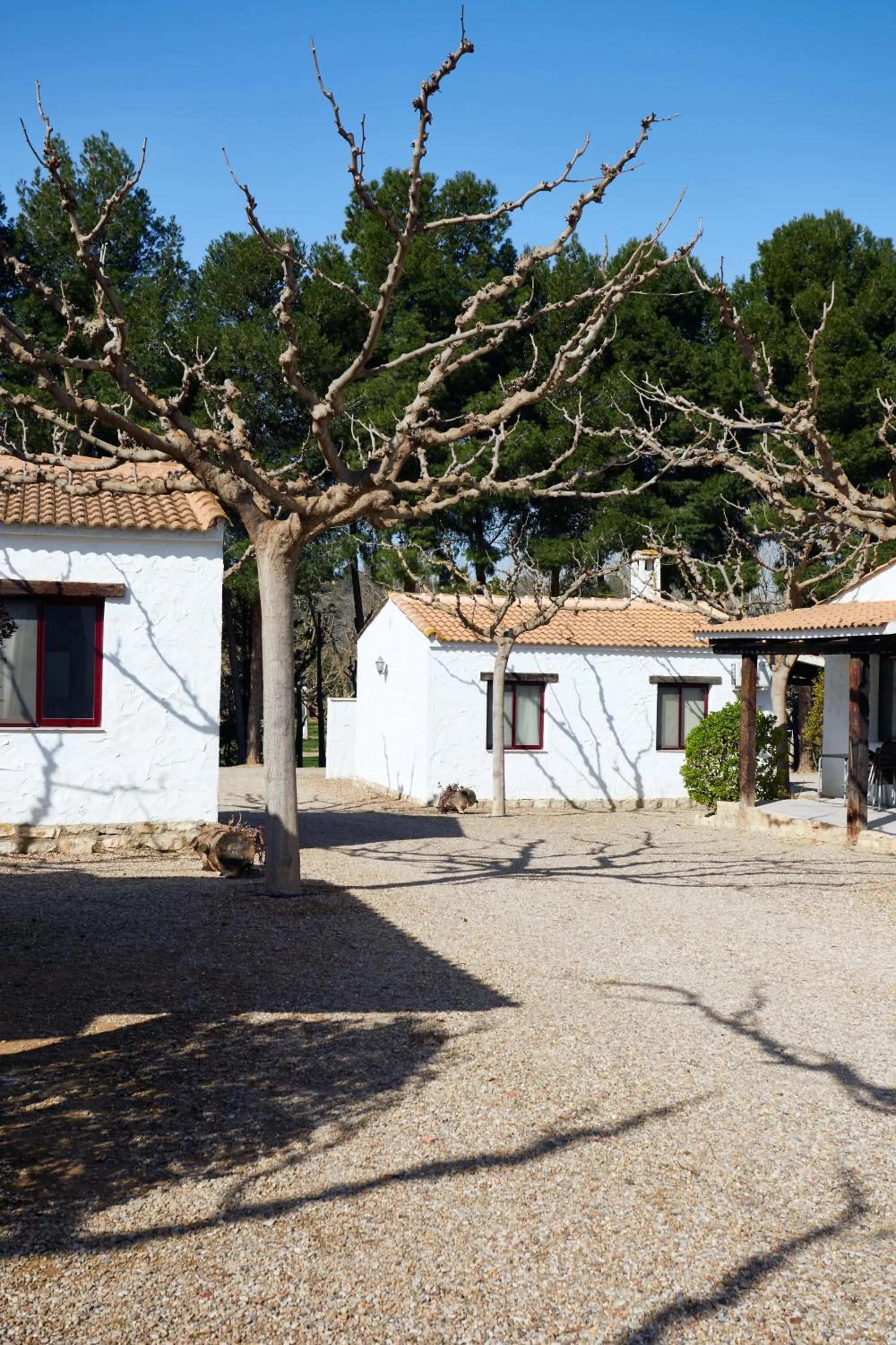Bungalow in TAIGA Lake Caspe