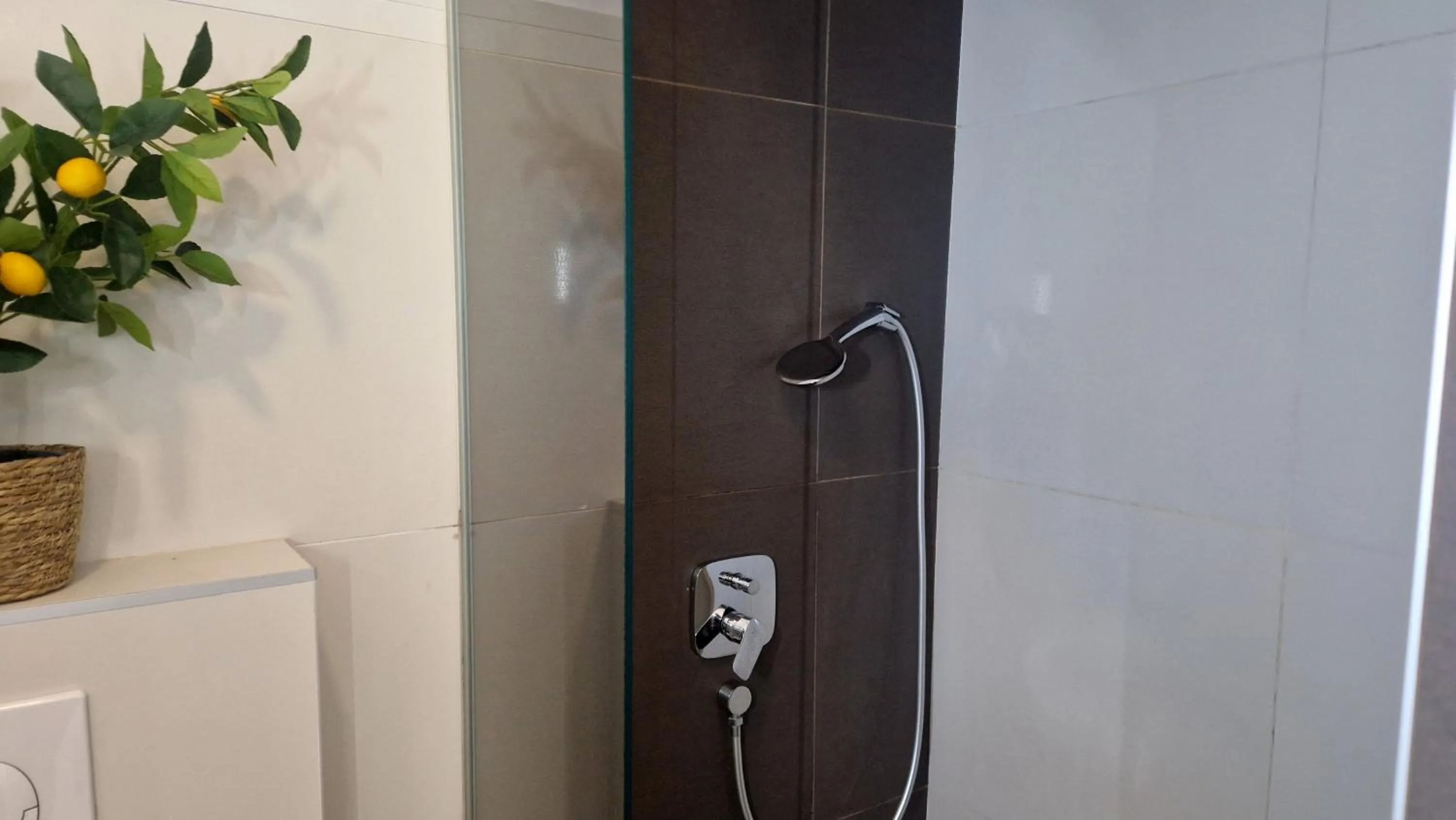 Shower in Basic Mansion Mandalina
