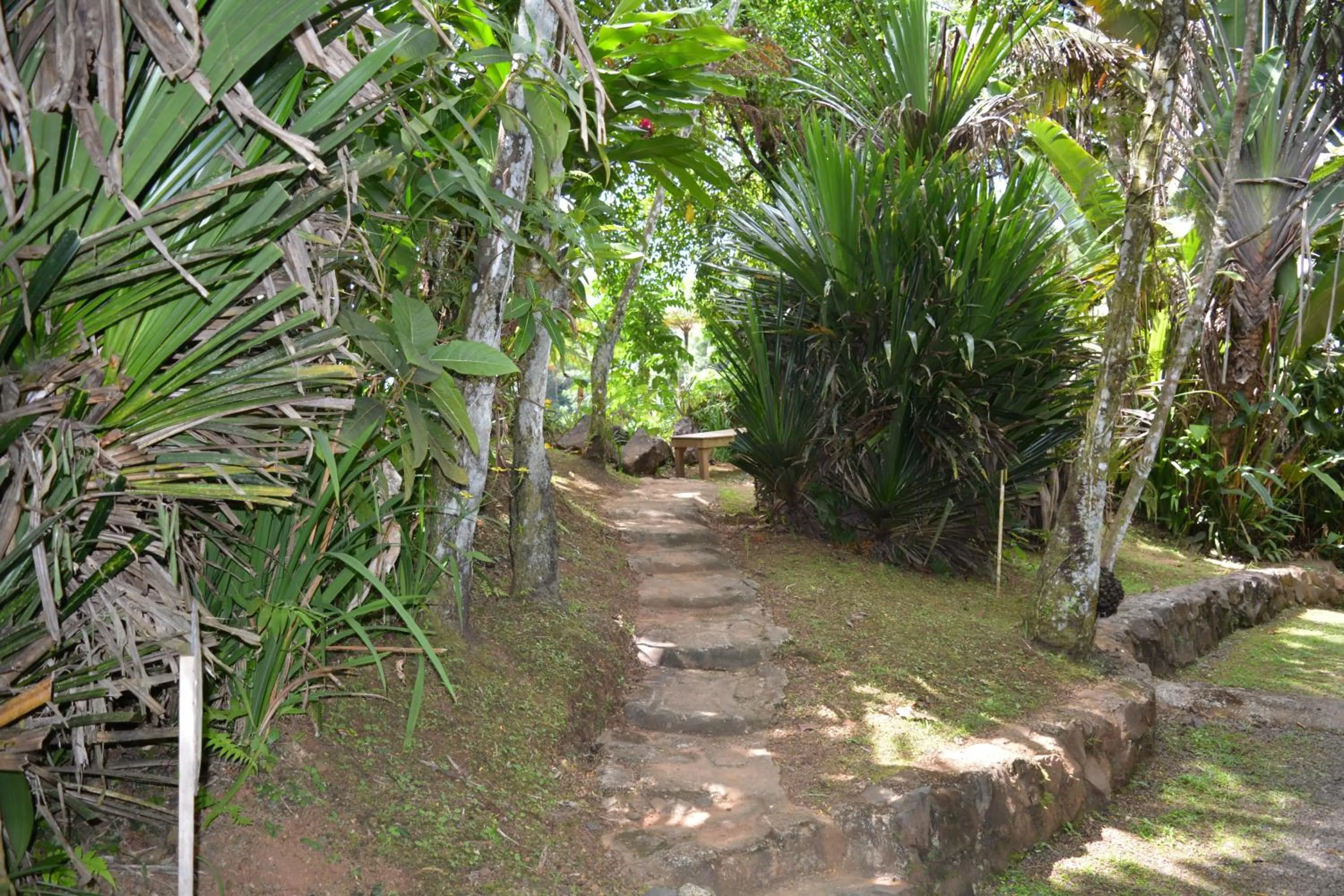 Garden in Rainforest Eco Lodge