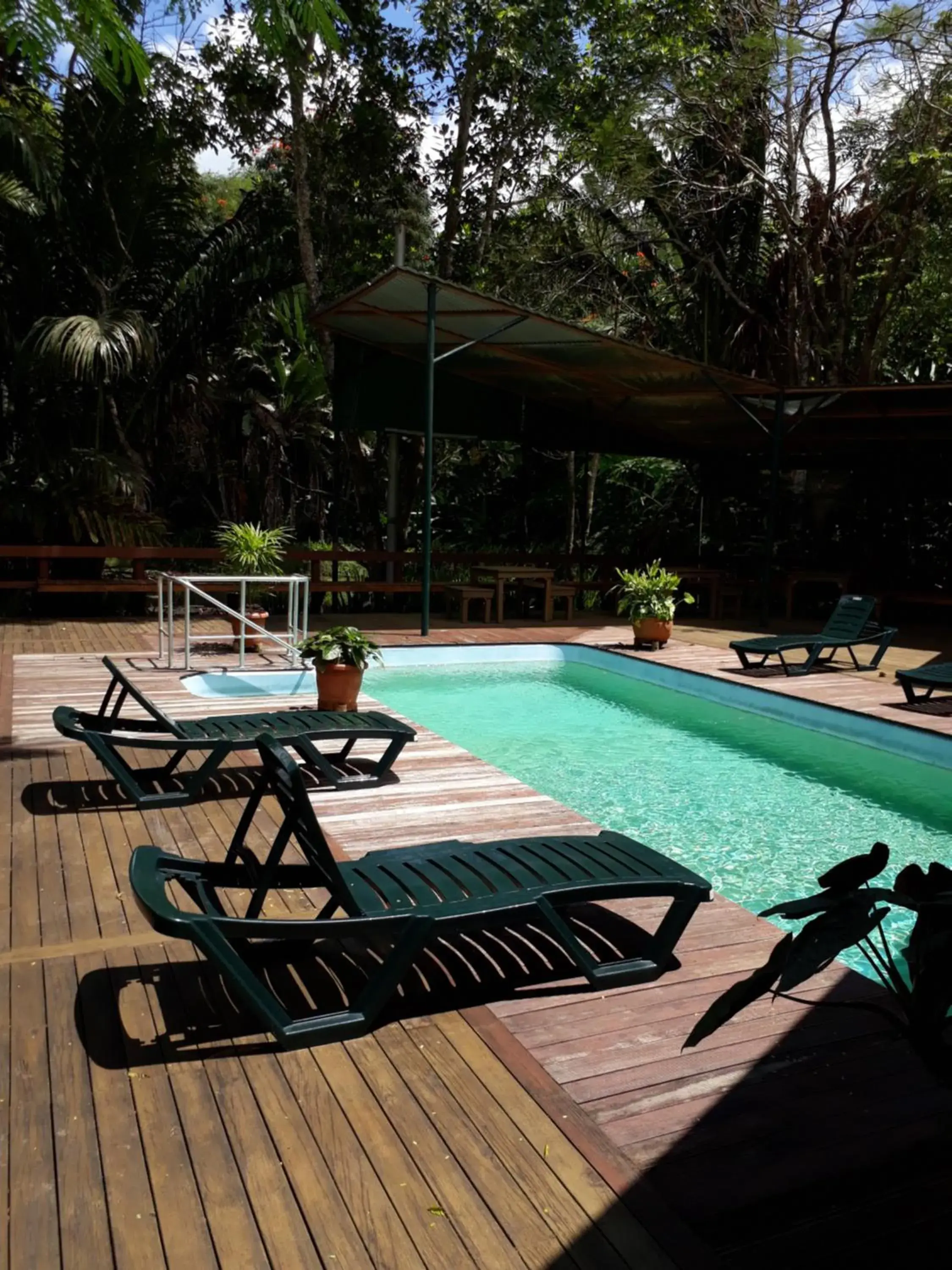 Swimming pool in Rainforest Eco Lodge Swimming pool in Rainforest Eco Lodge