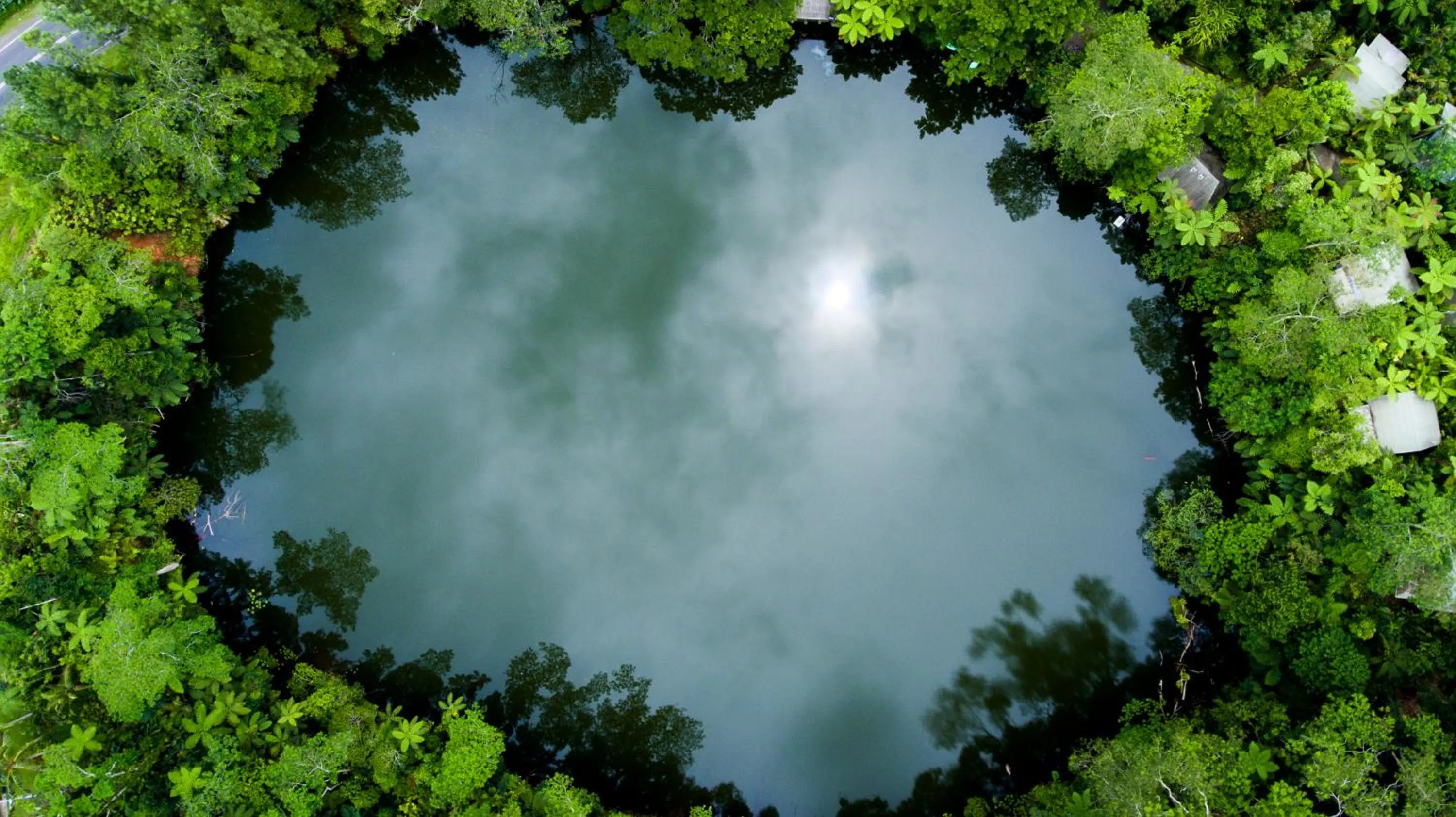 Area and facilities in Rainforest Eco Lodge