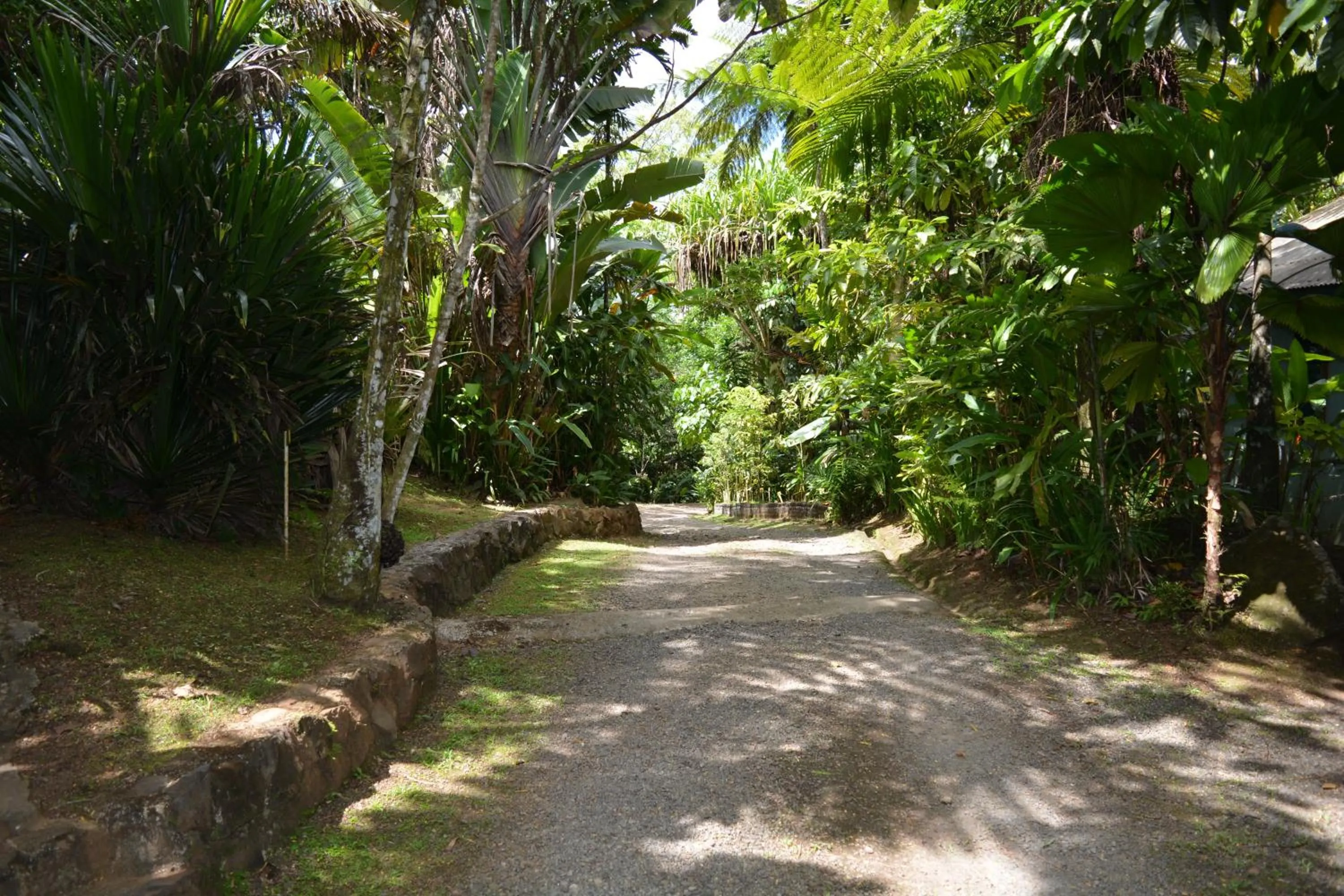 Garden in Rainforest Eco Lodge