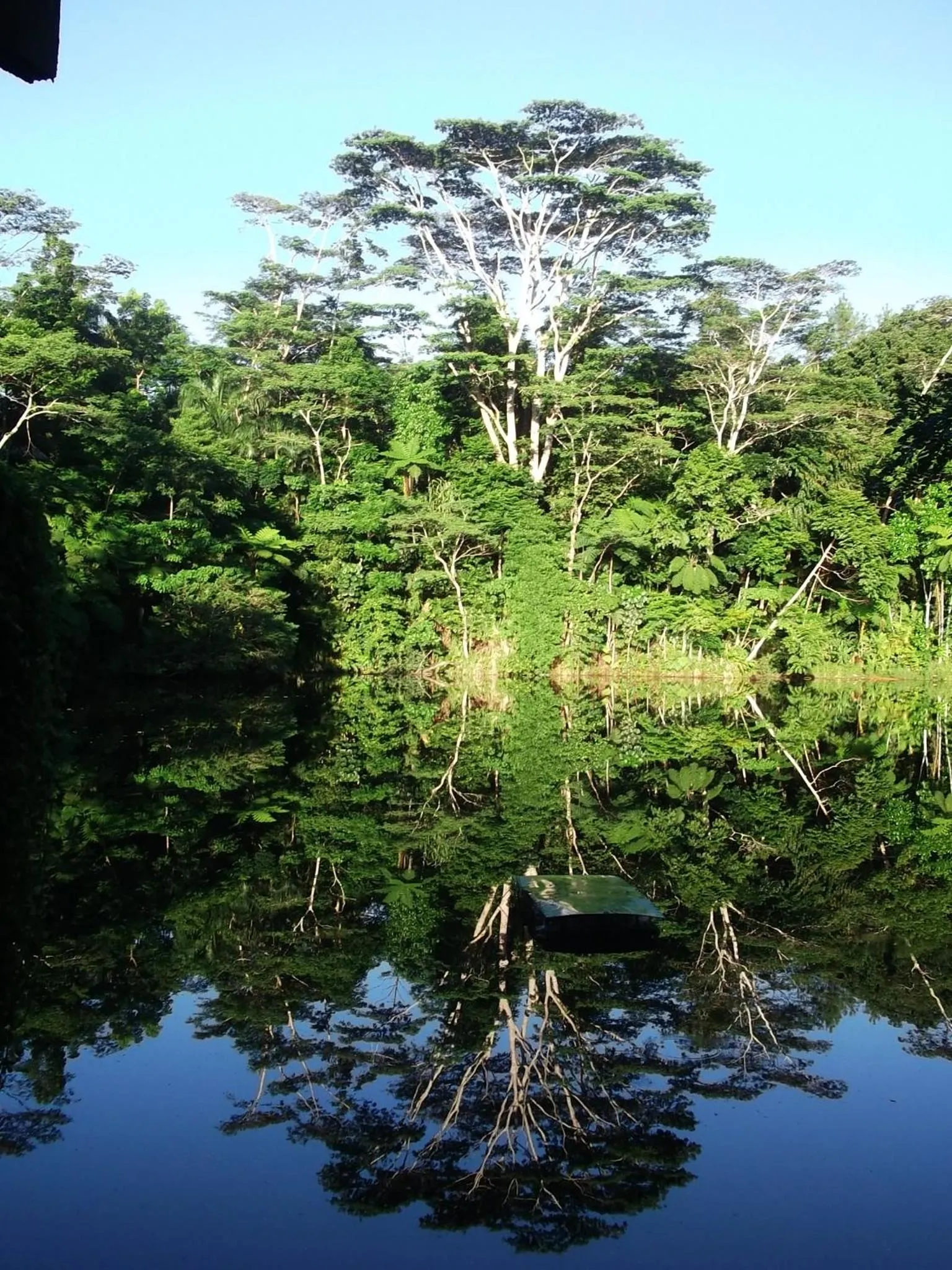 Lake view in Rainforest Eco Lodge