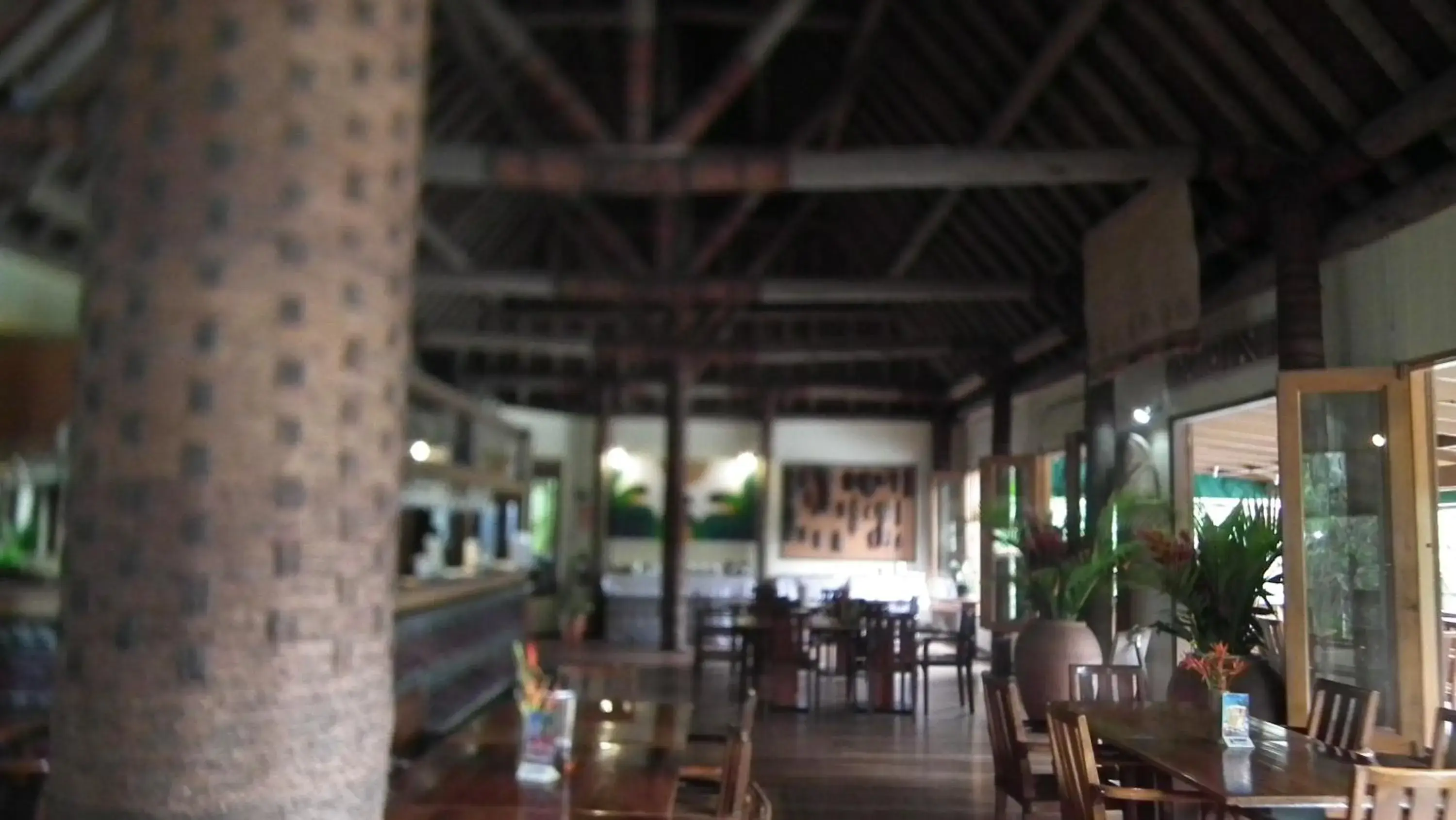 Restaurant/places to eat in Rainforest Eco Lodge Restaurant/places to eat in Rainforest Eco Lodge