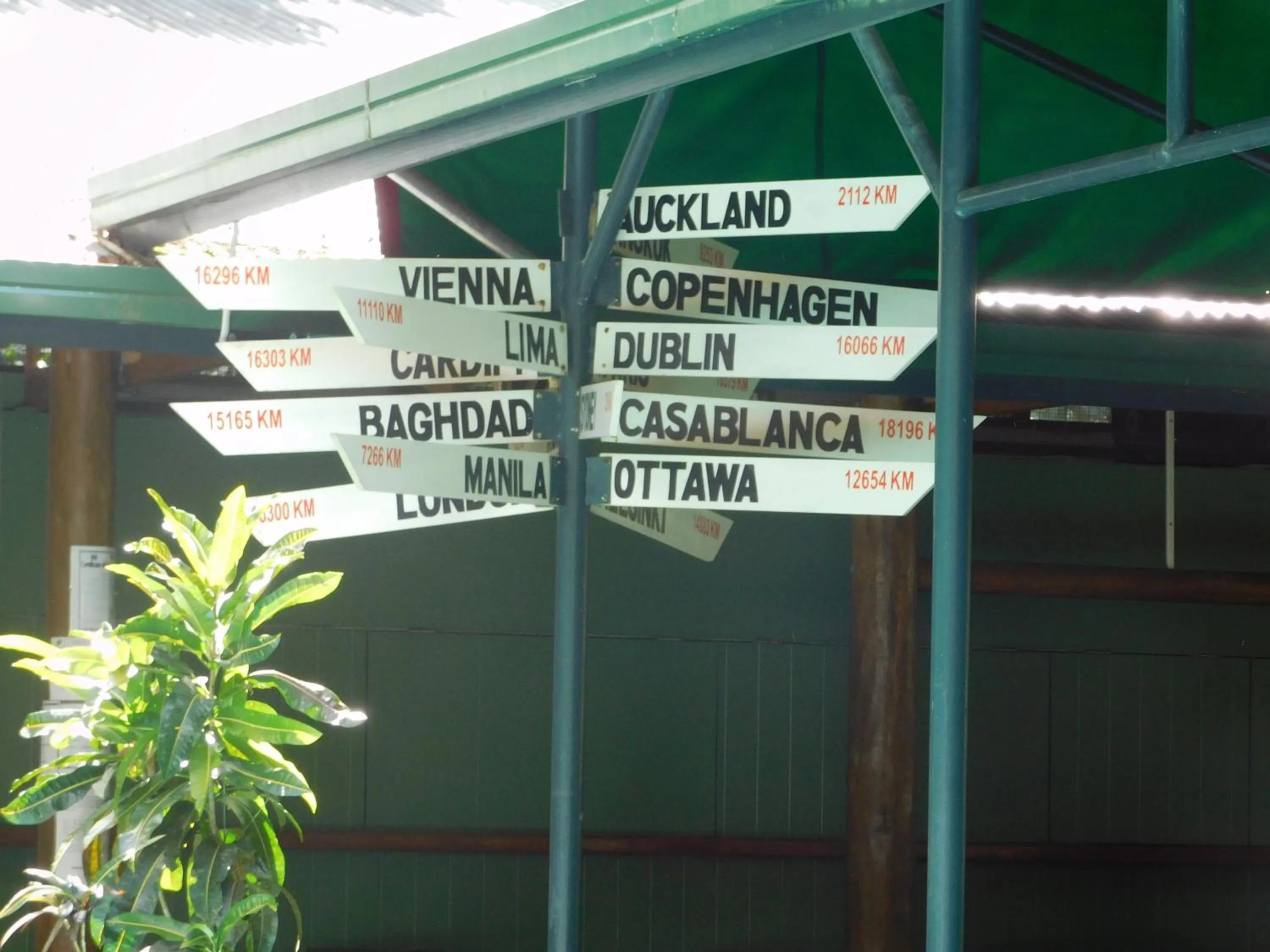 Swimming pool in Rainforest Eco Lodge