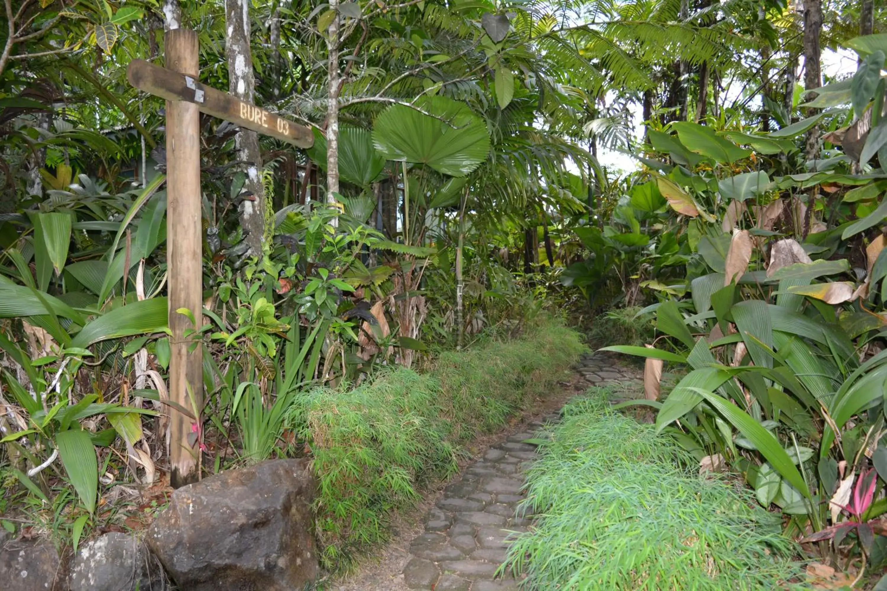Facade/entrance in Rainforest Eco Lodge Facade/entrance in Rainforest Eco Lodge