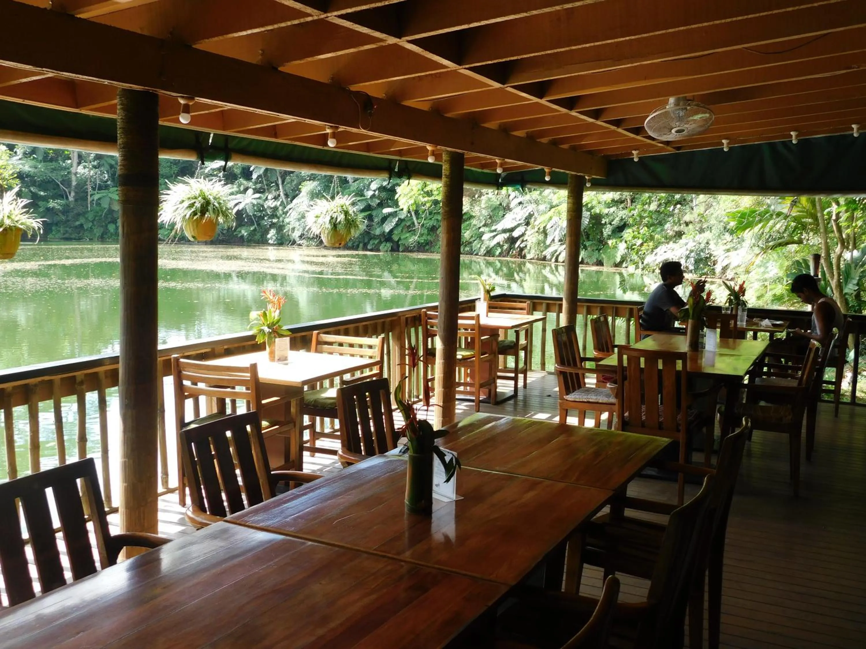 Restaurant/places to eat in Rainforest Eco Lodge