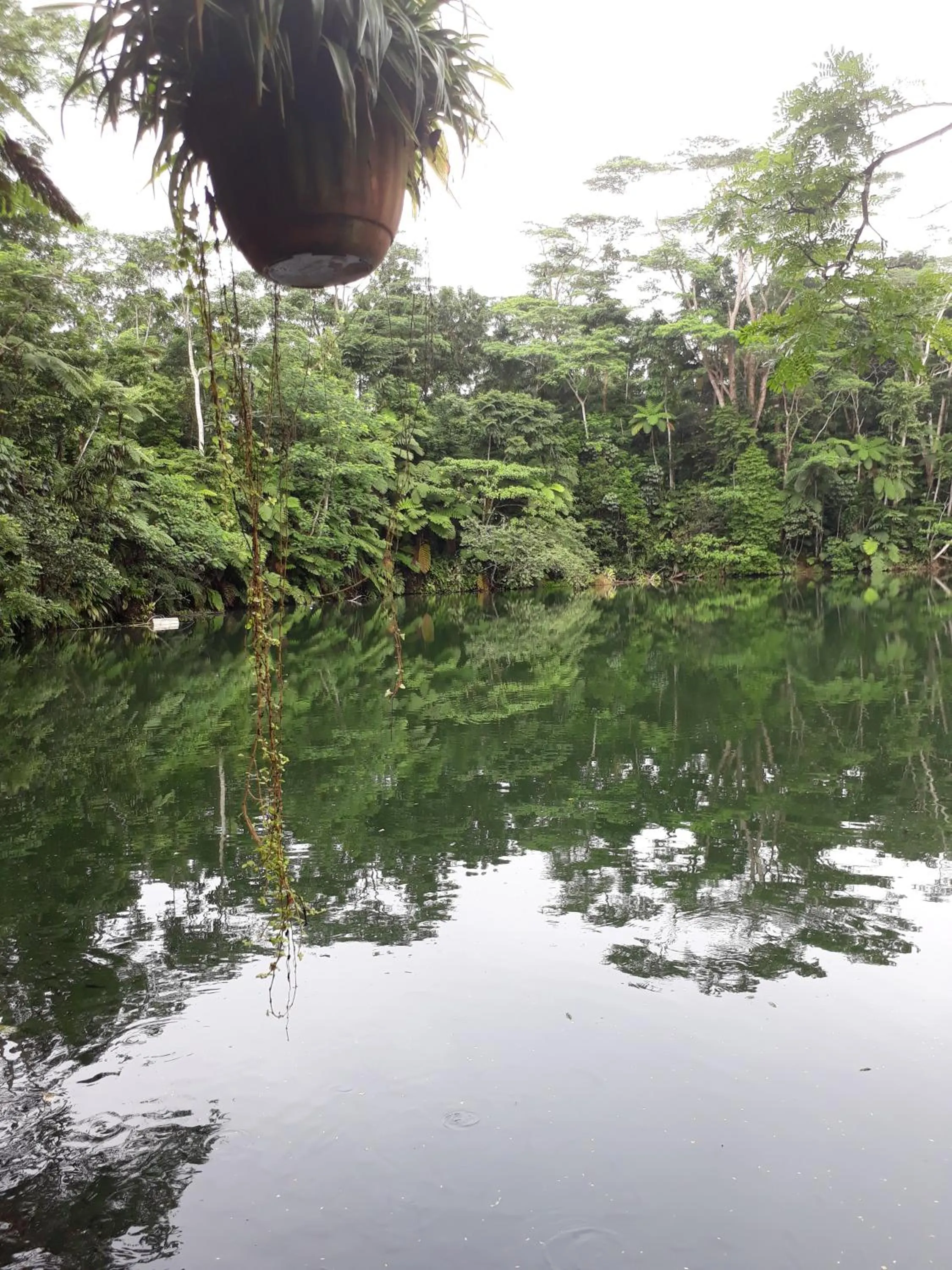 Lake view in Rainforest Eco Lodge