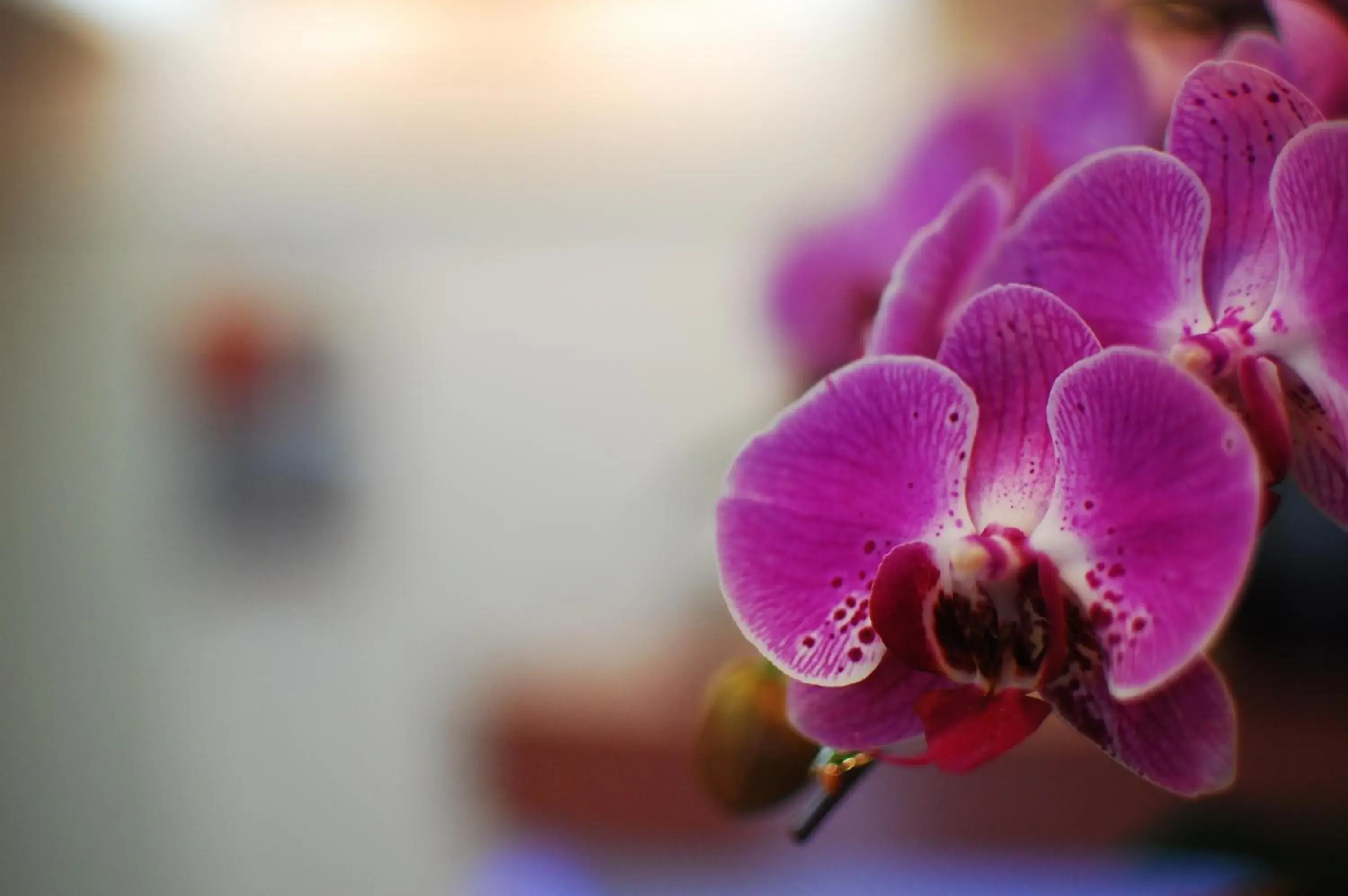 Lobby or reception in Yuh-Tarng Hotel Lobby or reception in Yuh-Tarng Hotel