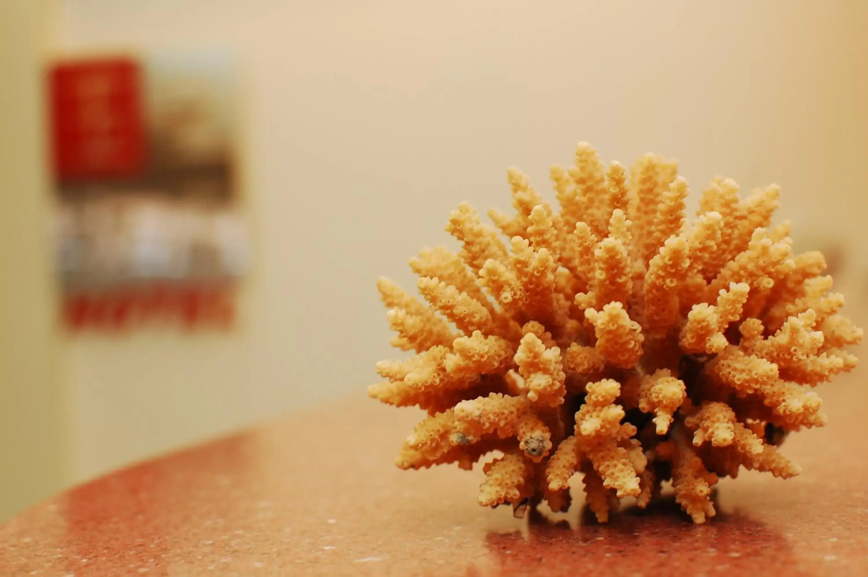 Lobby or reception in Yuh-Tarng Hotel Lobby or reception in Yuh-Tarng Hotel