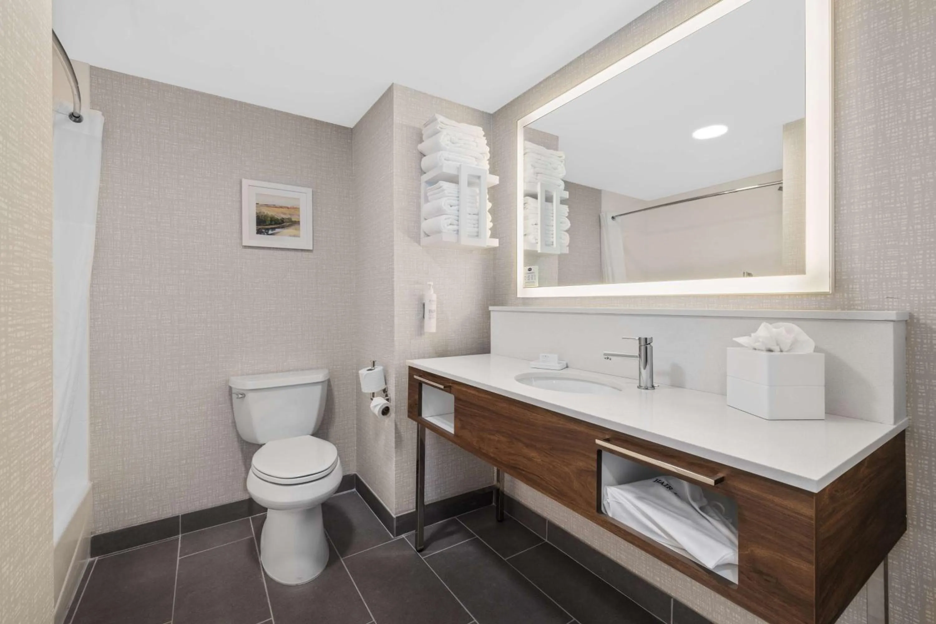 Bathroom in Hampton Inn & Suites Bakersfield Central