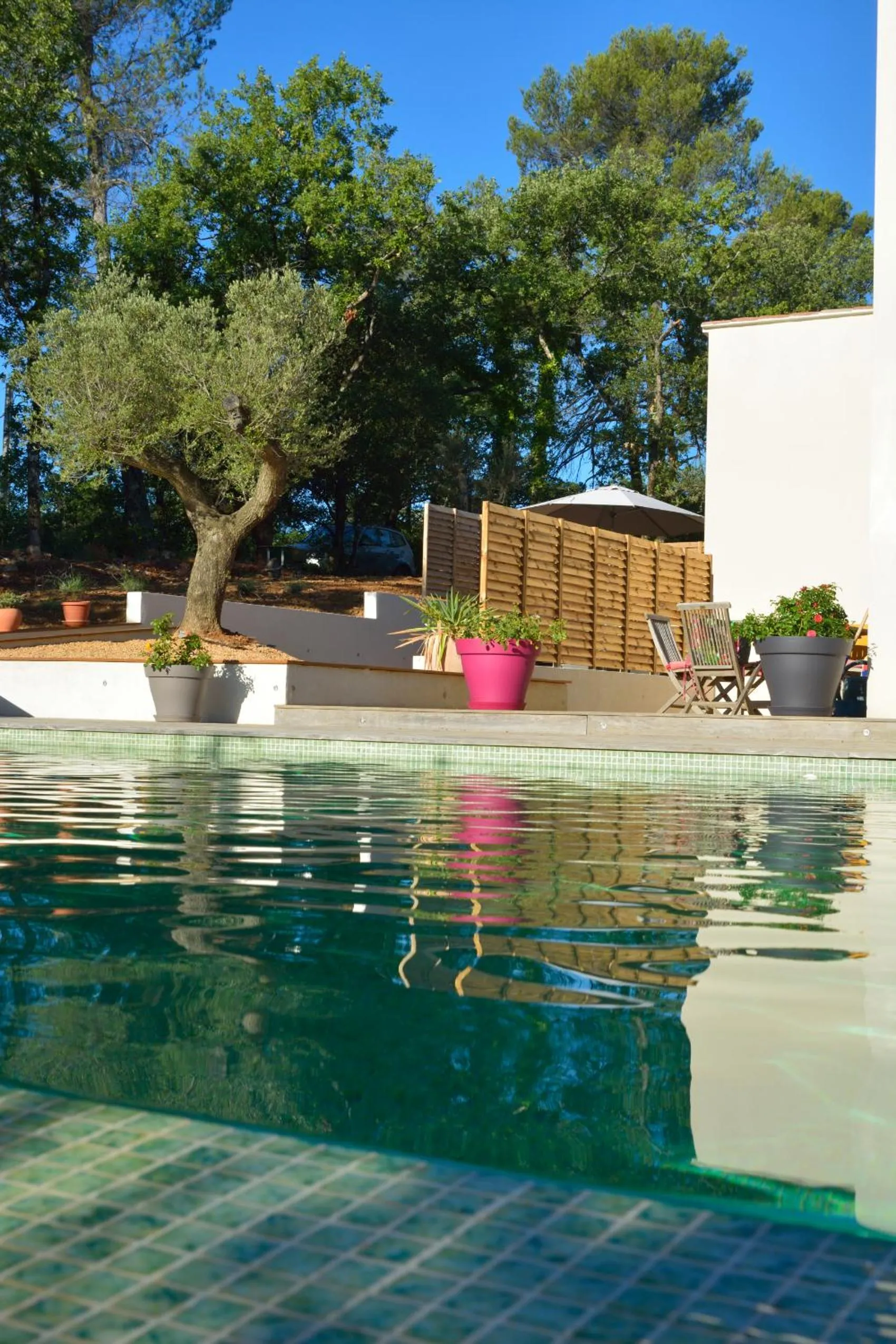 Sous les oliviers - Jacuzzi - Studios de standing tout-équipés