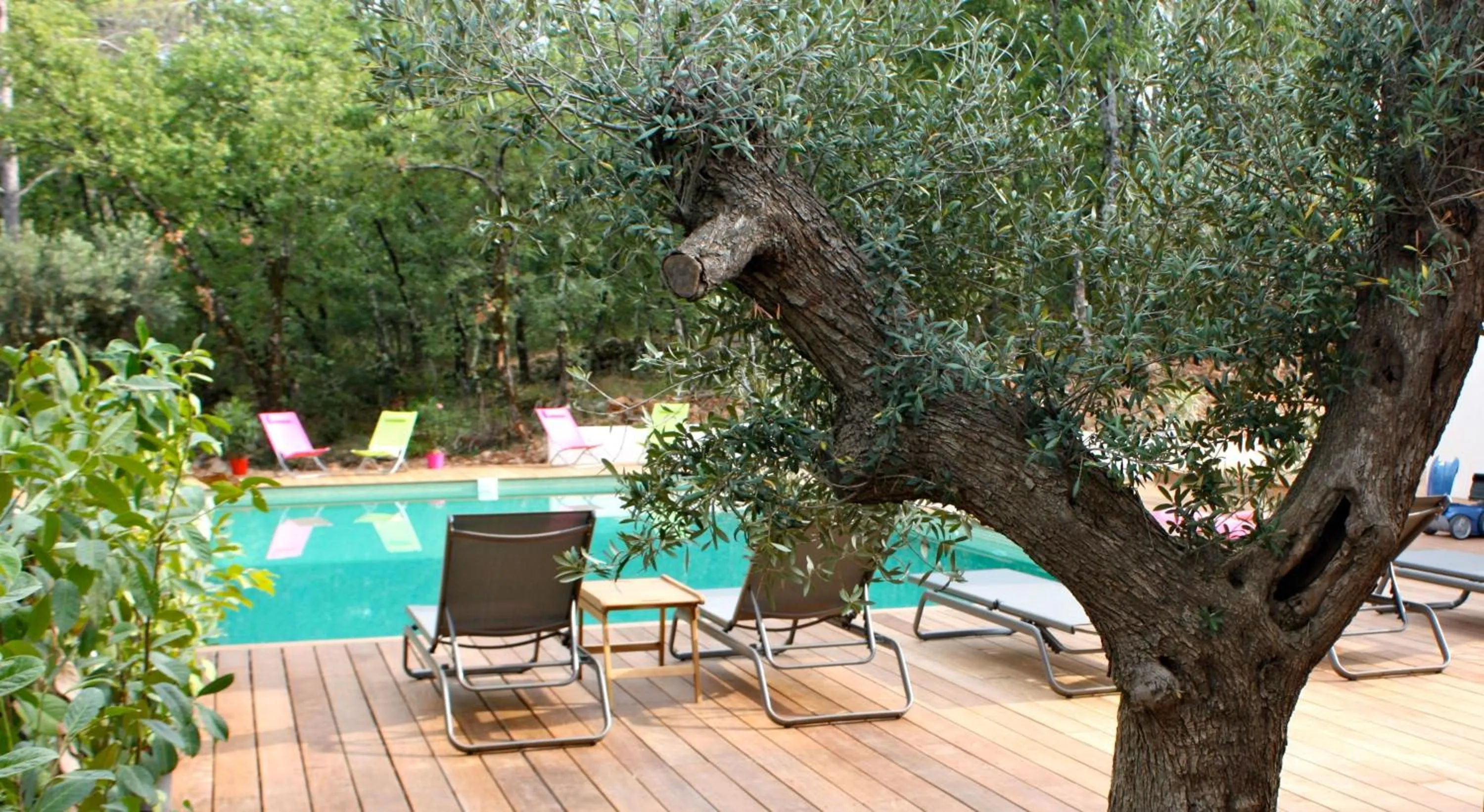 Swimming pool in Sous les oliviers - Jacuzzi - Studios de standing tout-équipés