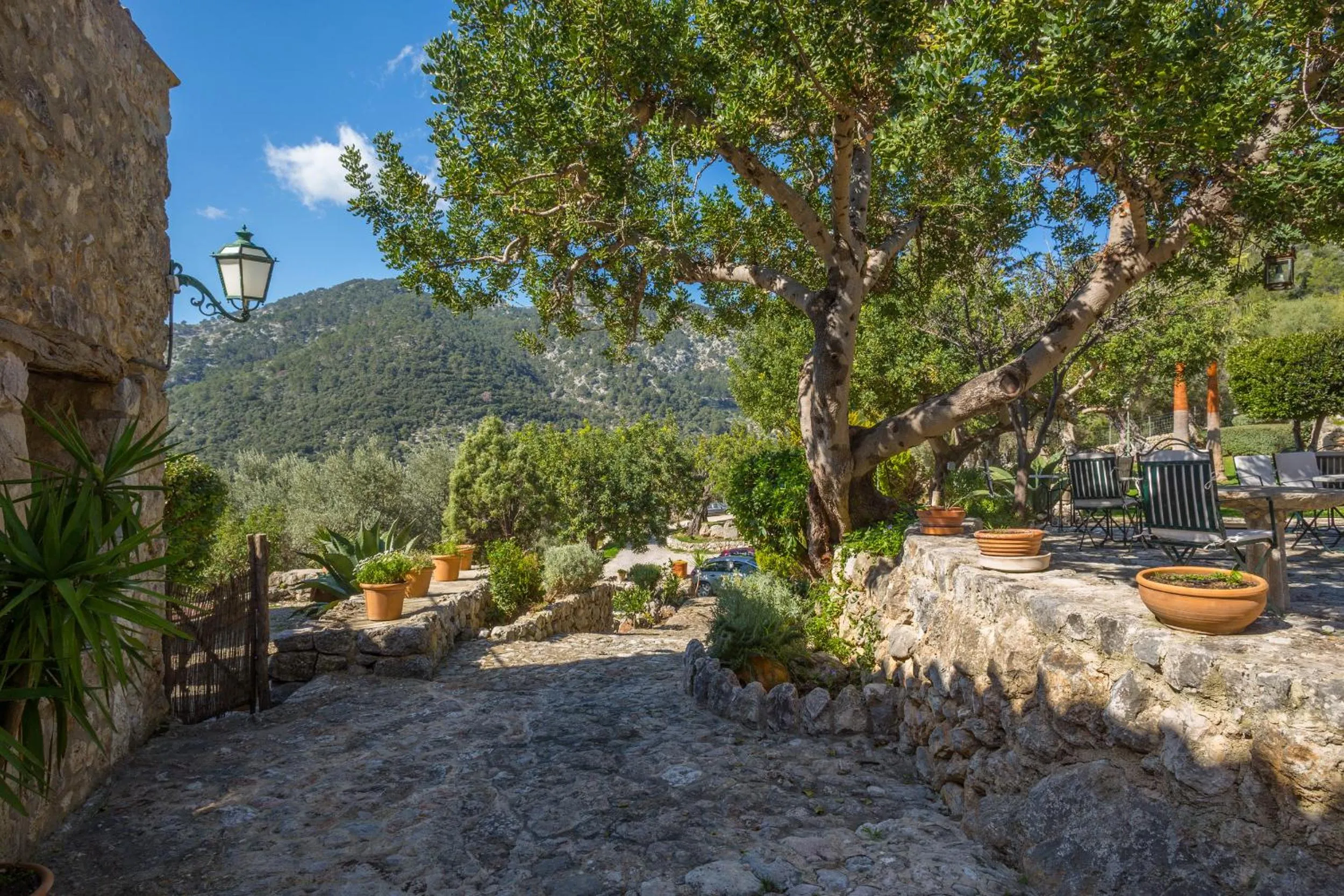 Day in Finca Es Castell