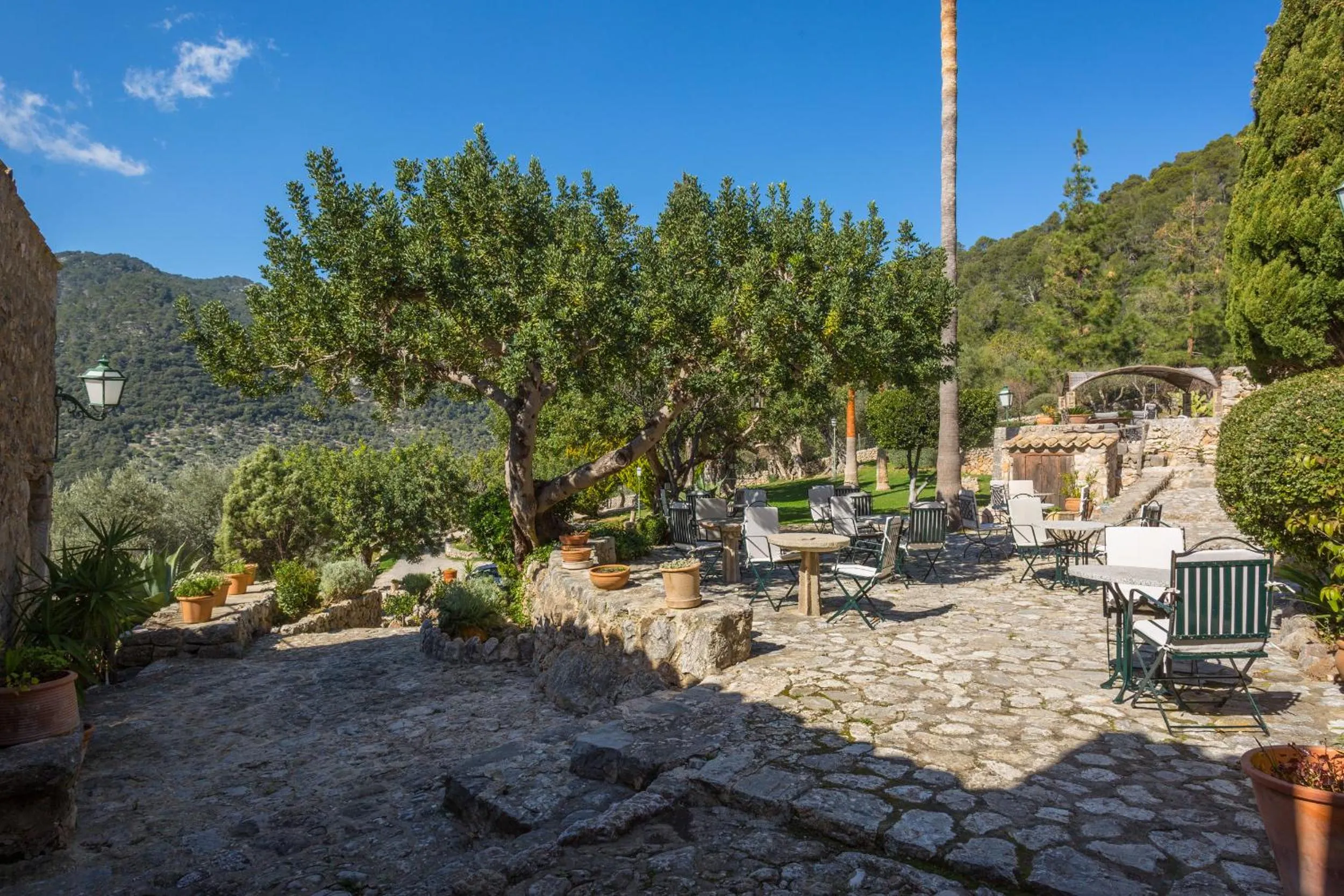 Natural landscape in Finca Es Castell