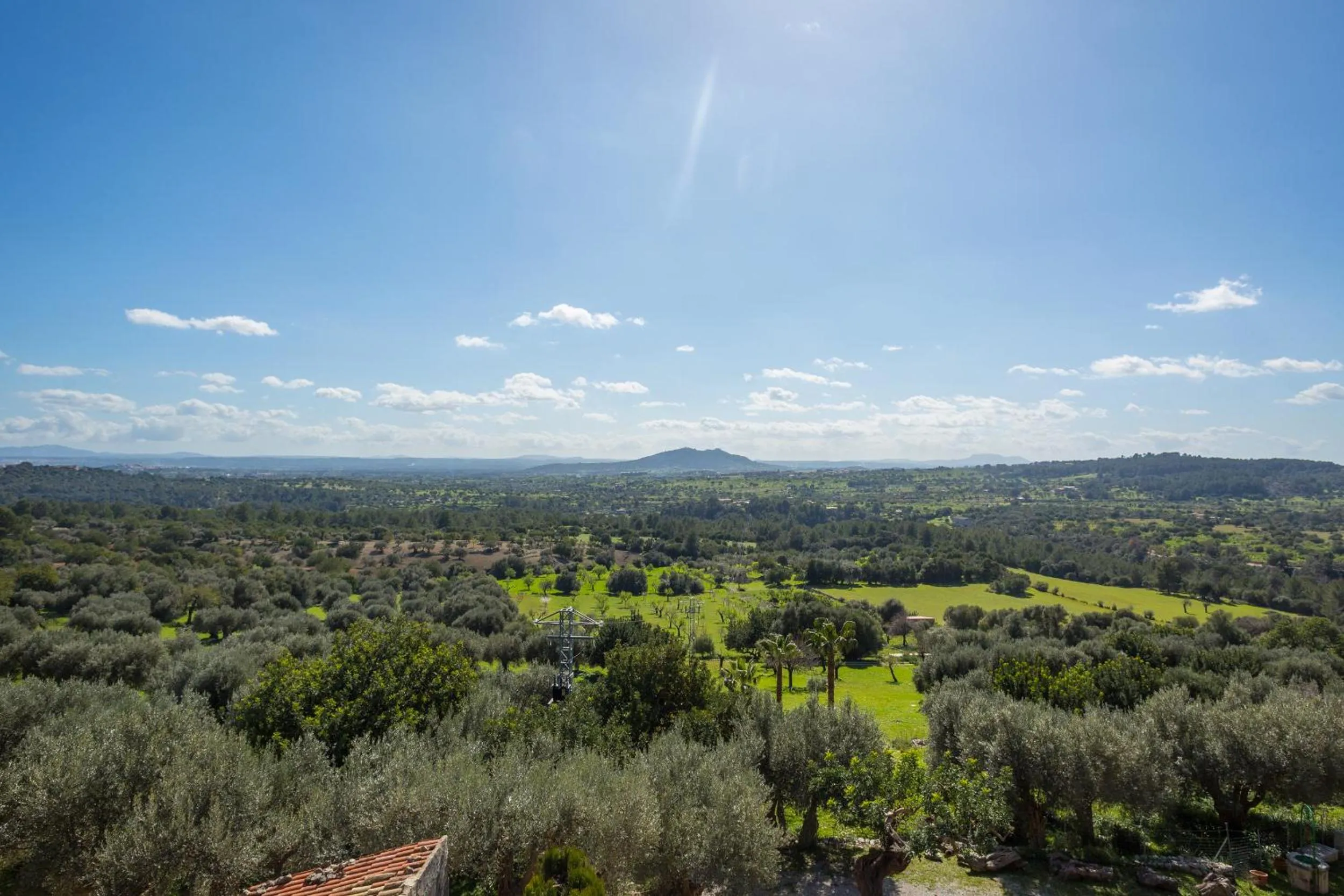 Natural landscape in Finca Es Castell