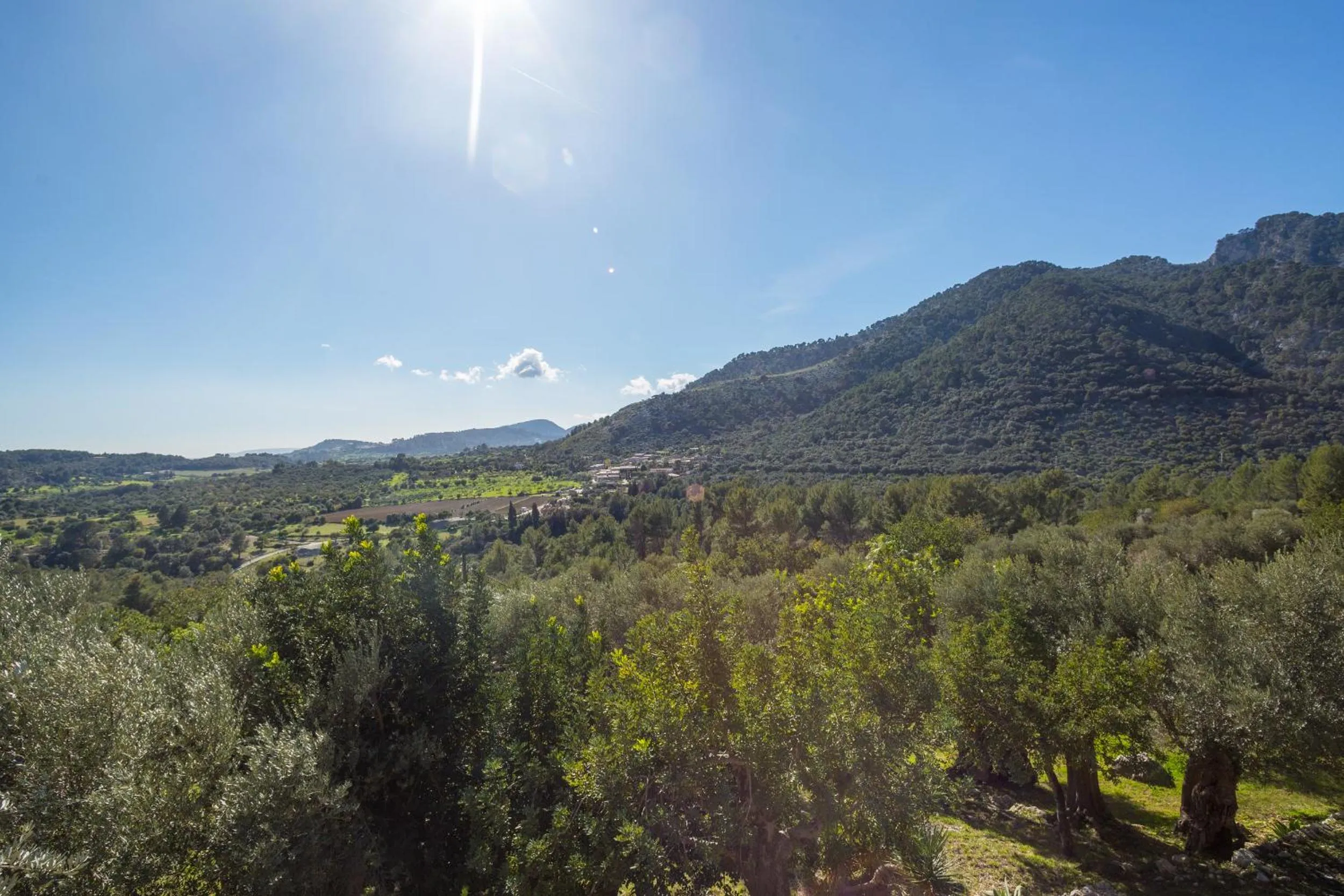 Natural landscape in Finca Es Castell