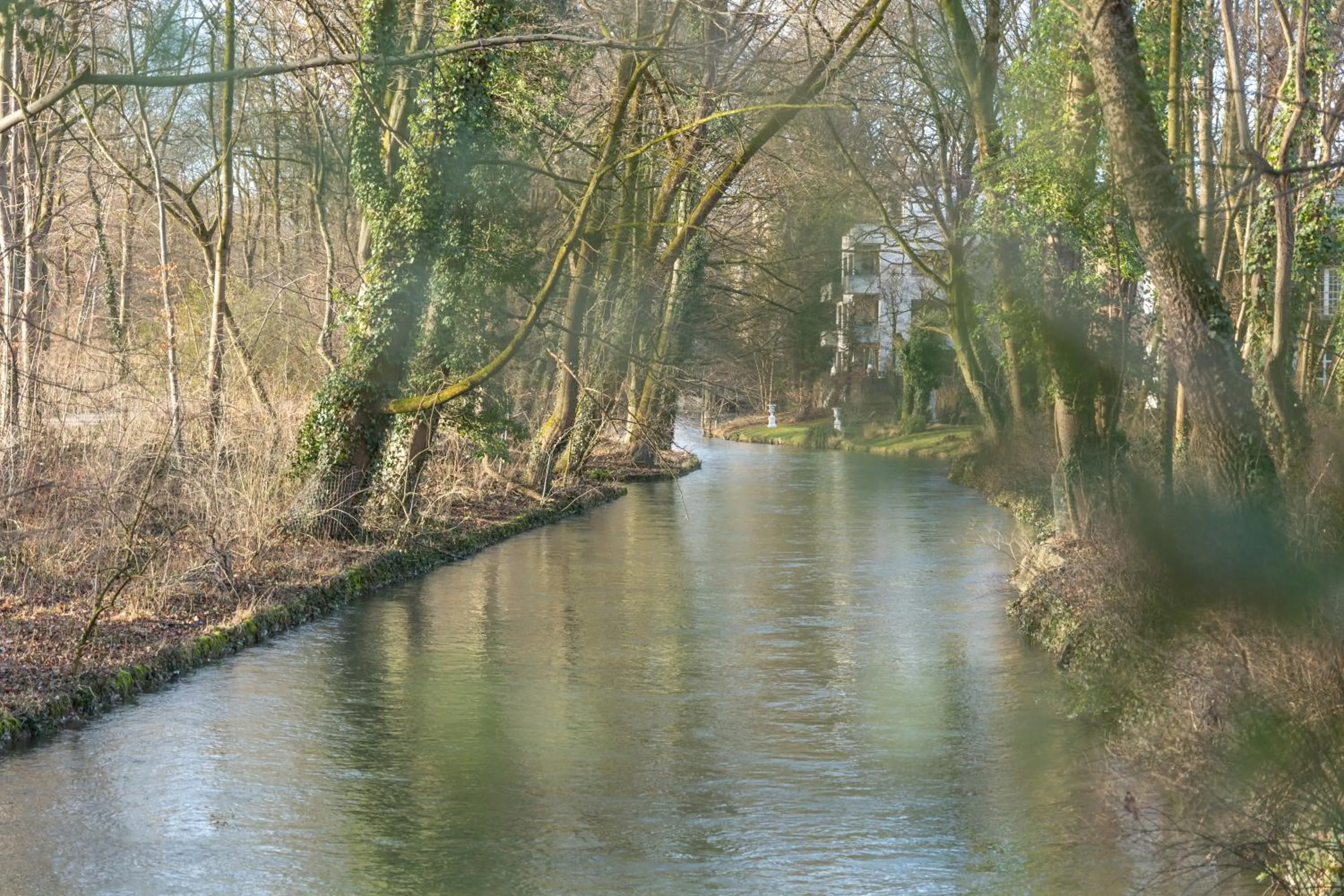 Natural landscape in Gästehaus Englischer Garten