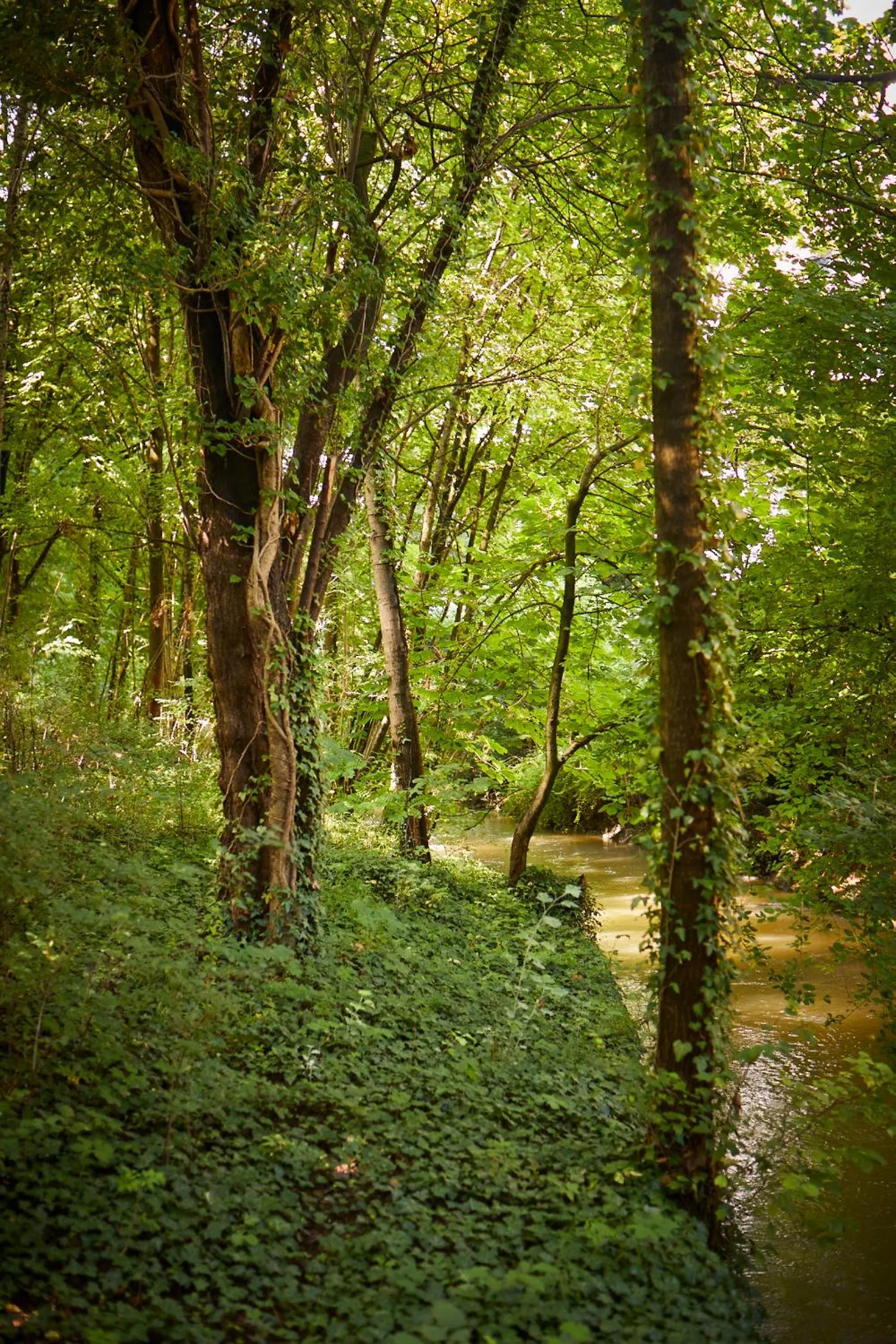 River view in Gästehaus Englischer Garten