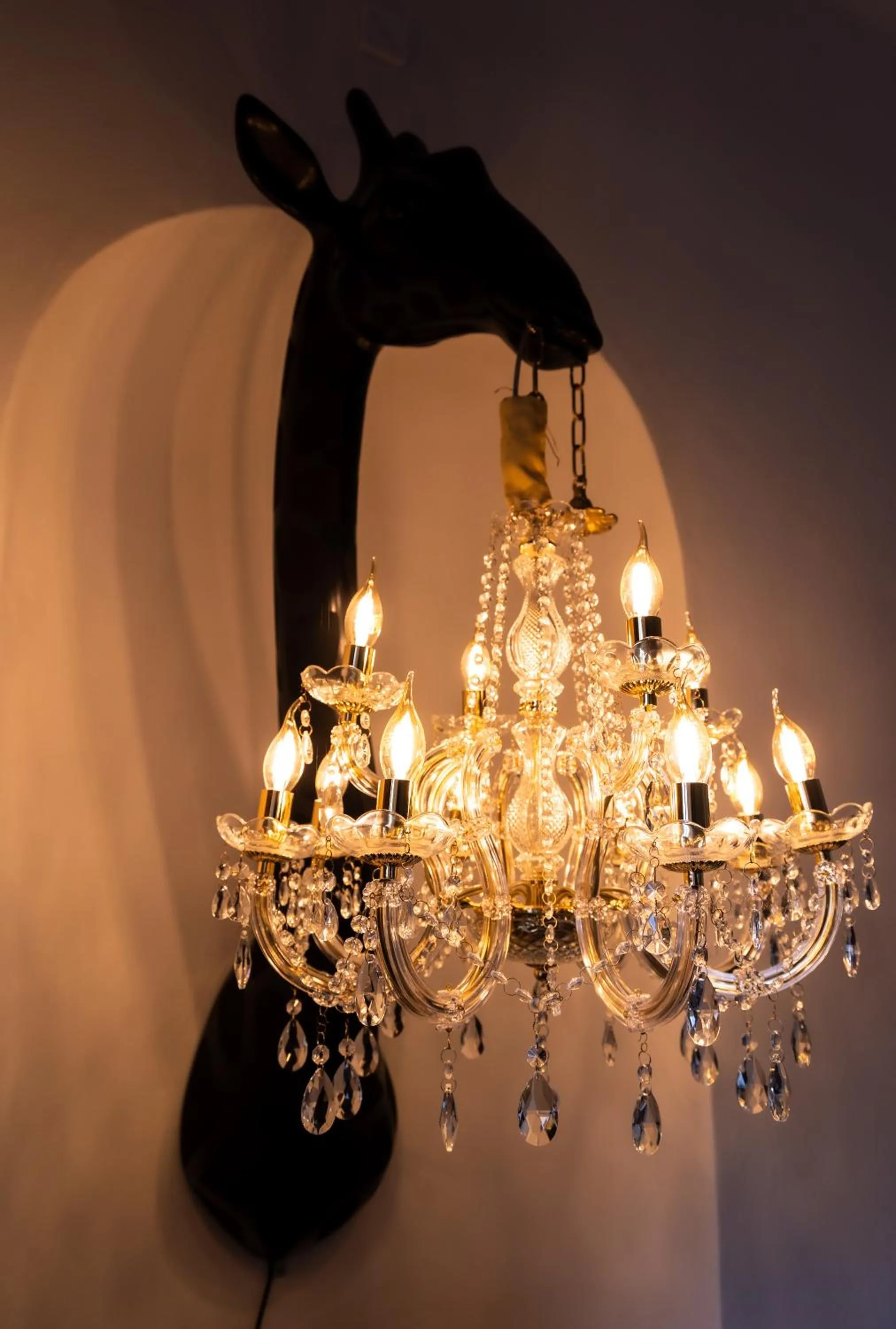 Photo of the whole room in Opera apartments - Mestský palác