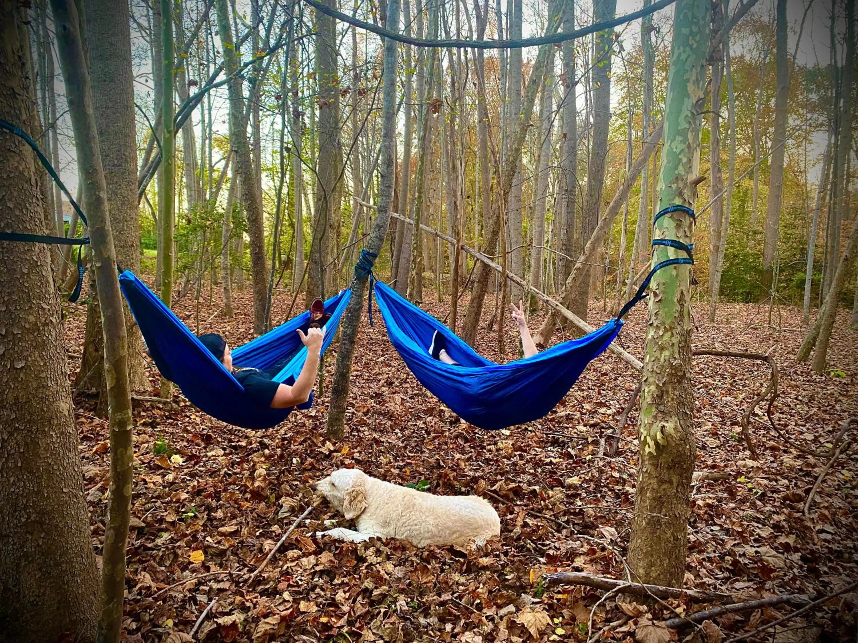 Natural landscape in Vaiden Inn
