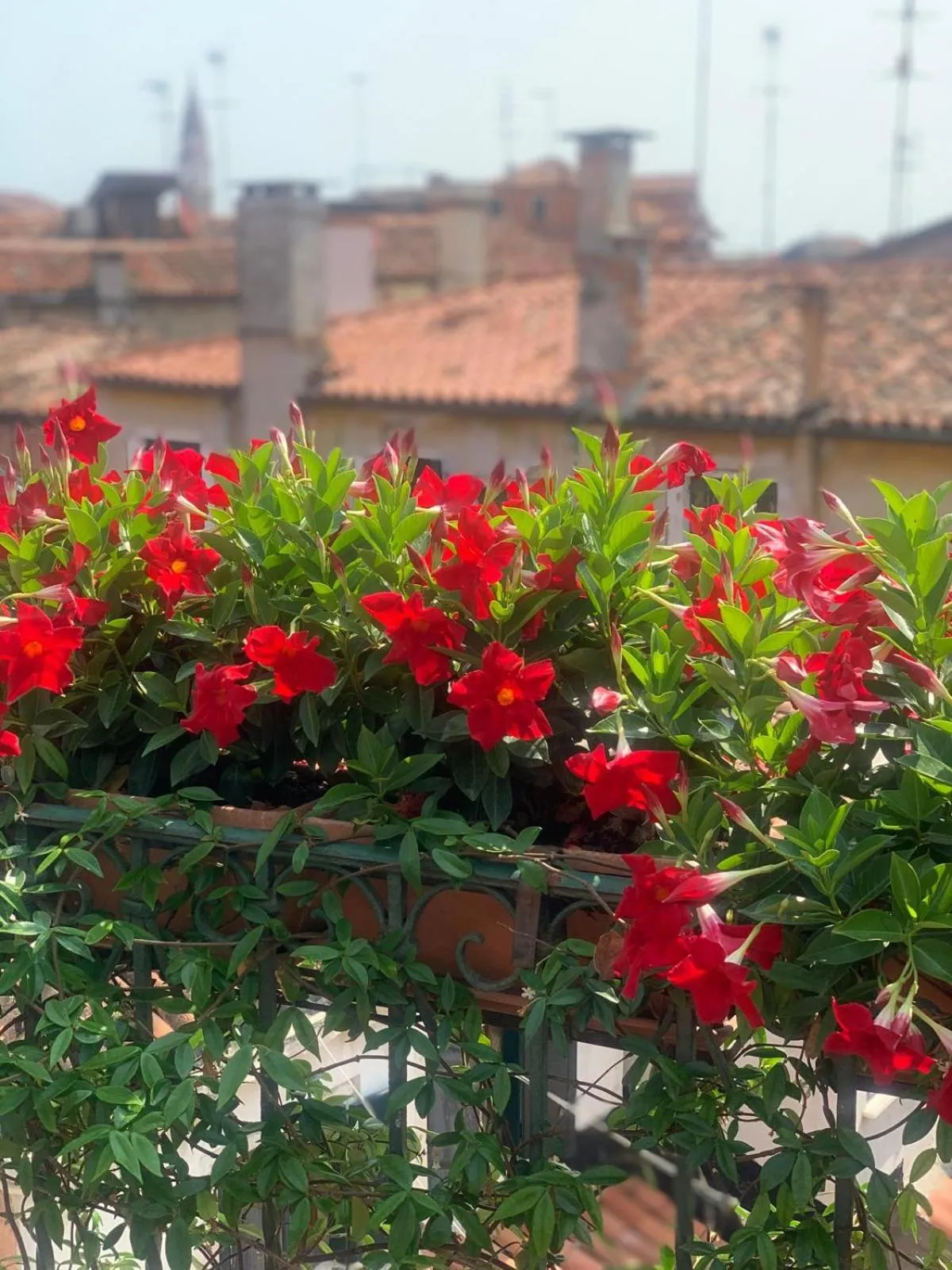 Top Floor Terrace Elegant Apartment 4 min from St Mark s Square No Lift - Venice Heaven Apartments Collection