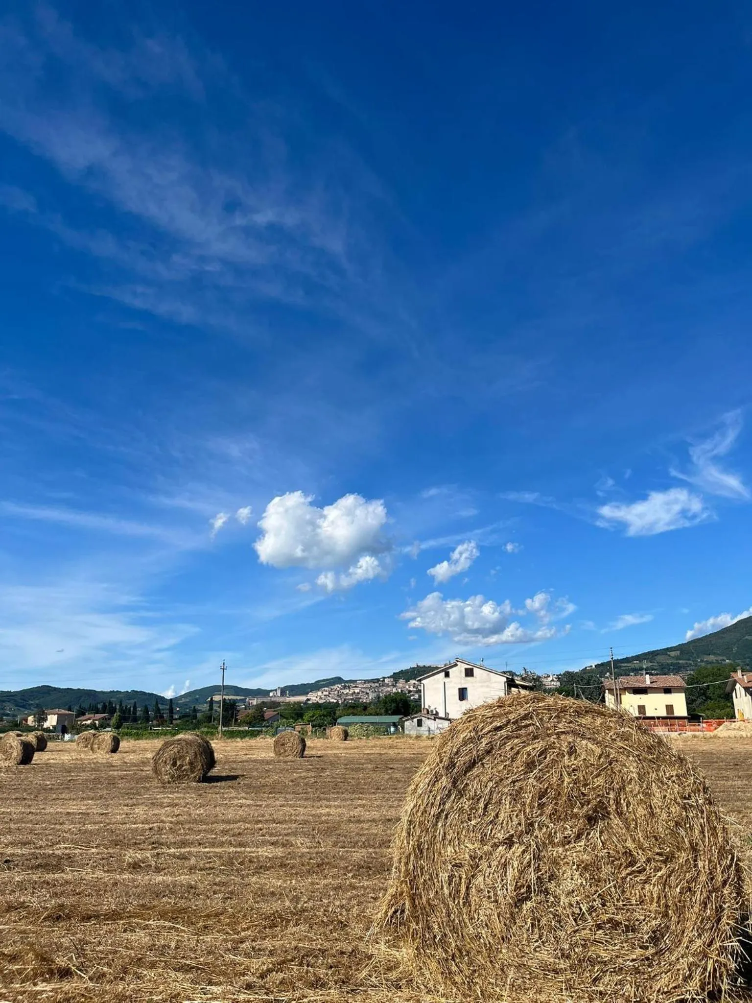 Garden in Luci di Assisi B&B Wellness