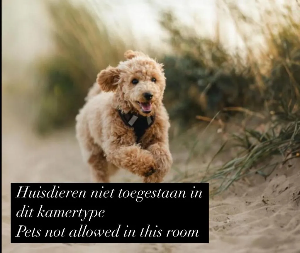 Eilandhotel Texel - Nieuw geopend hotel
