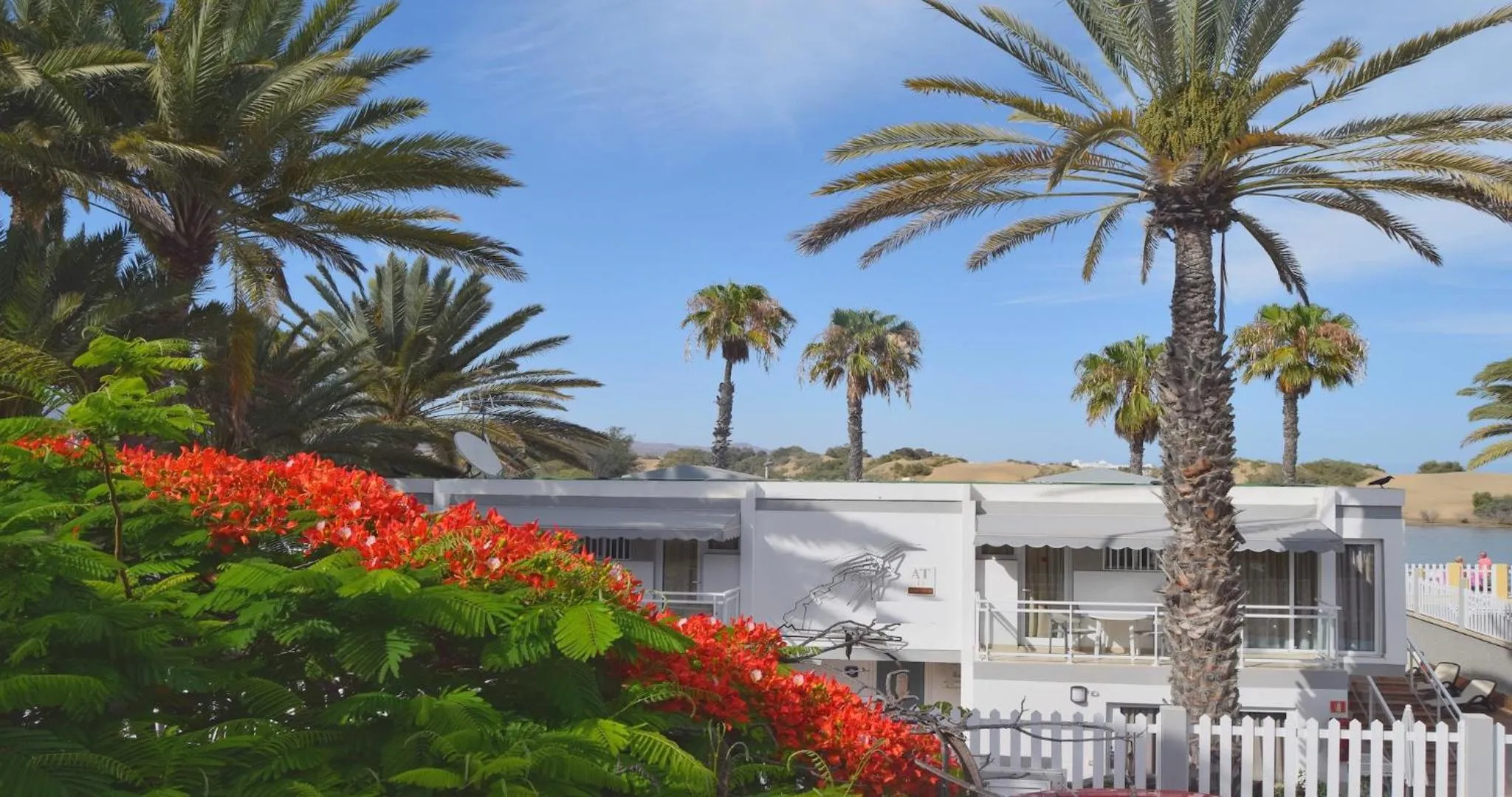 Spring in Dunaoasis Maspalomas