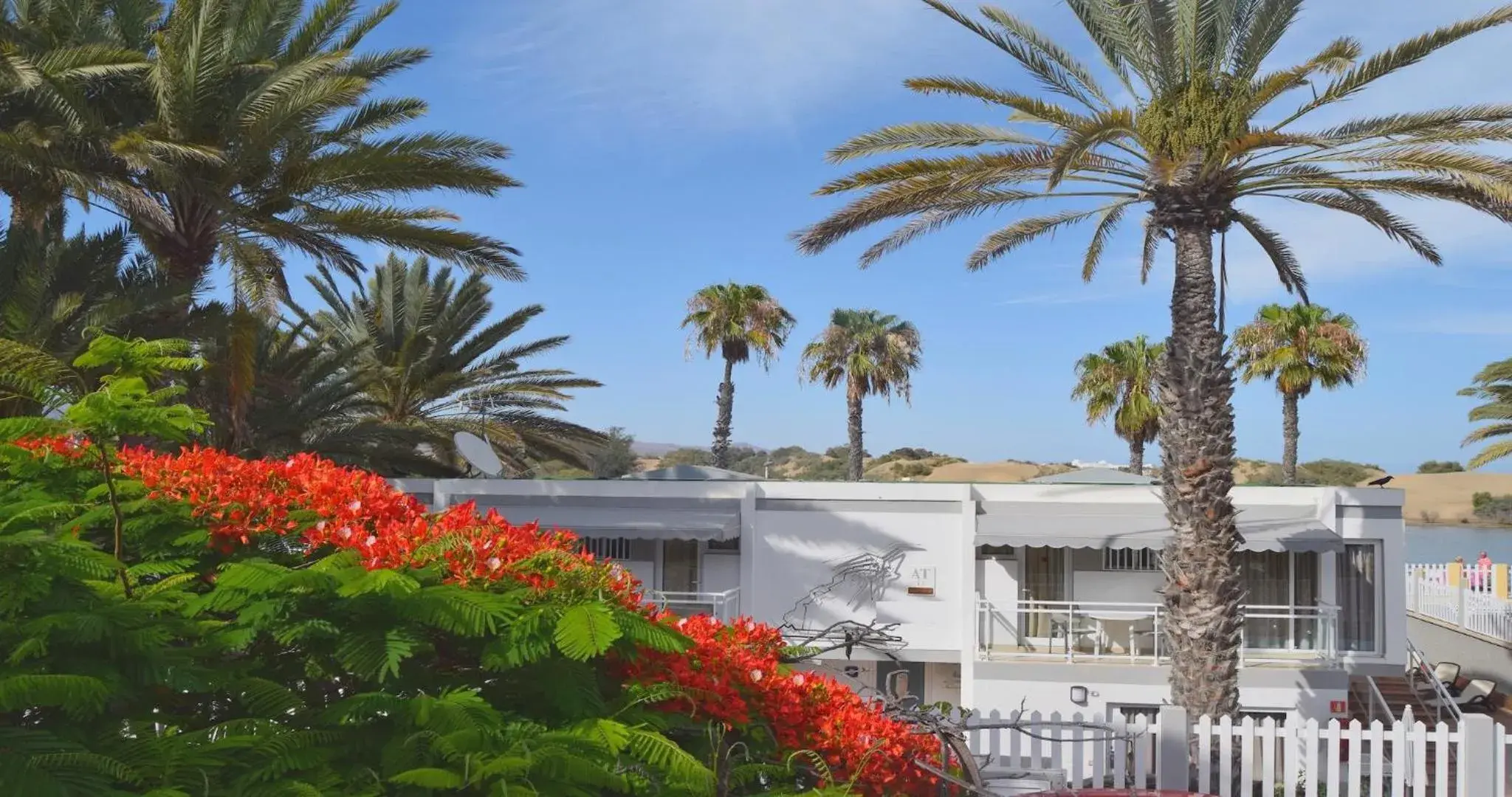 Spring in Dunaoasis Maspalomas Spring in Dunaoasis Maspalomas