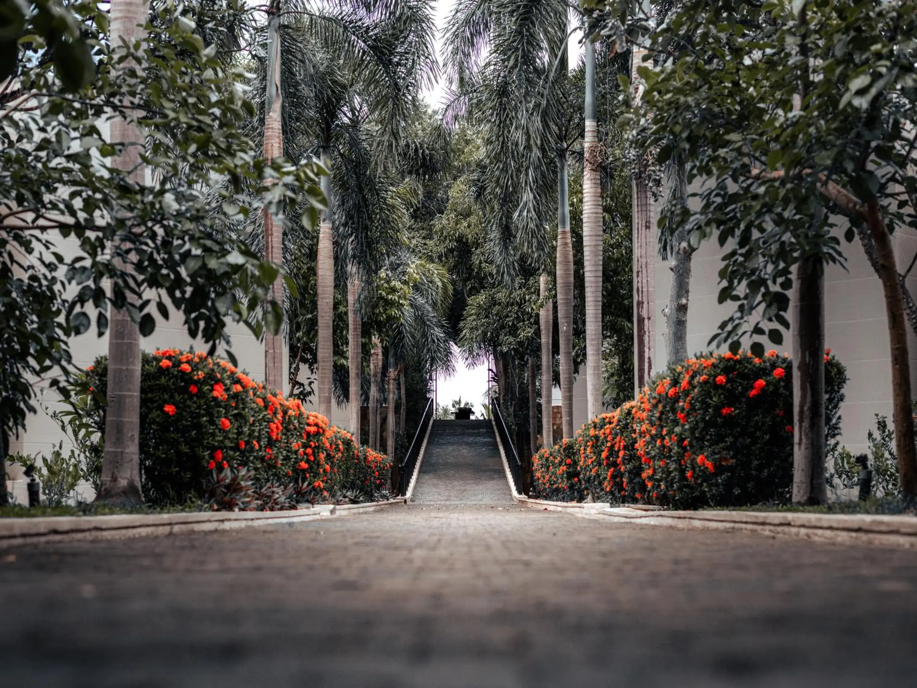 Facade/entrance in Sun Siyam Pasikudah Facade/entrance in Sun Siyam Pasikudah