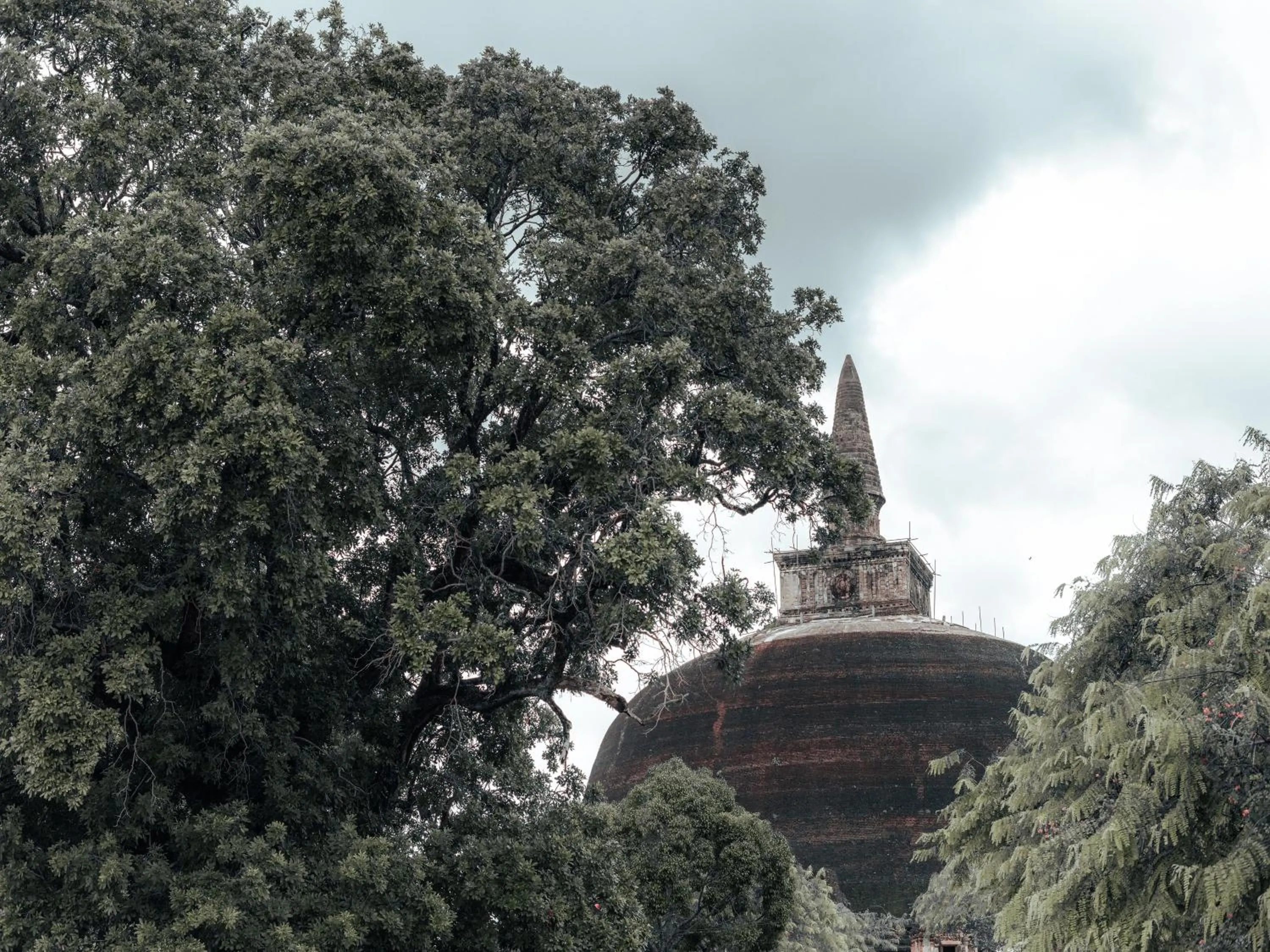 Activities in Sun Siyam Pasikudah