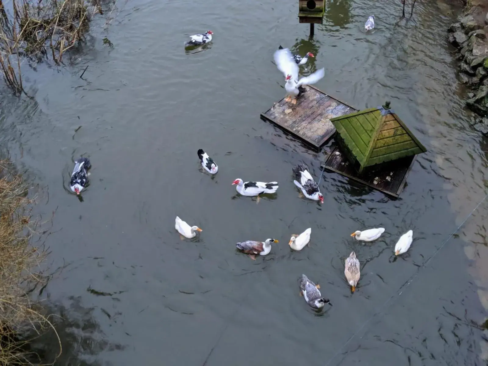 B&B at The Old Mill B&B at The Old Mill