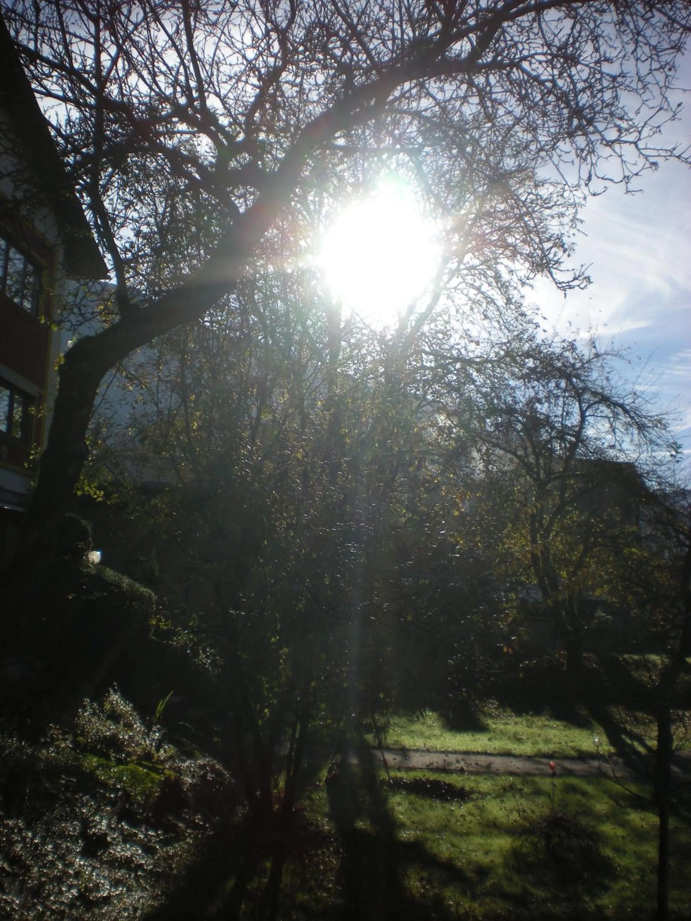 Garden view in Pension Leprich
