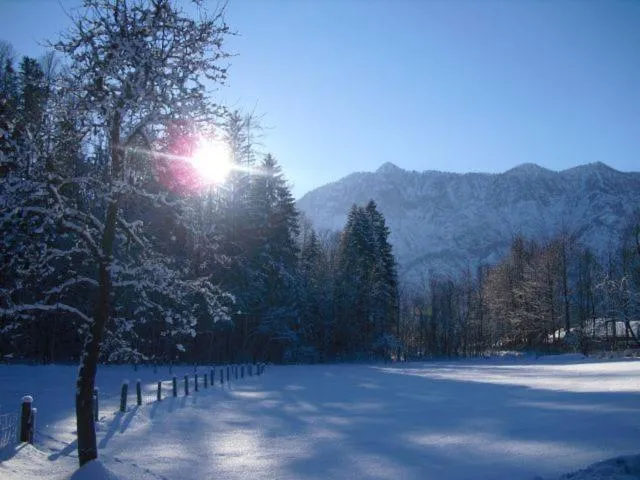Natural landscape in Pension Leprich