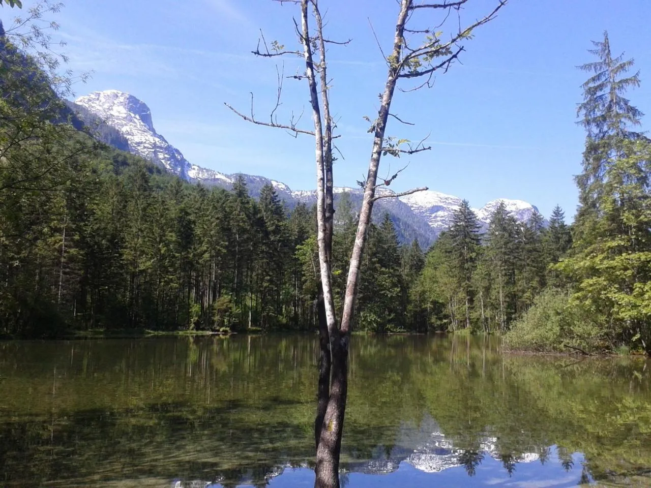 Day in Pension Leprich