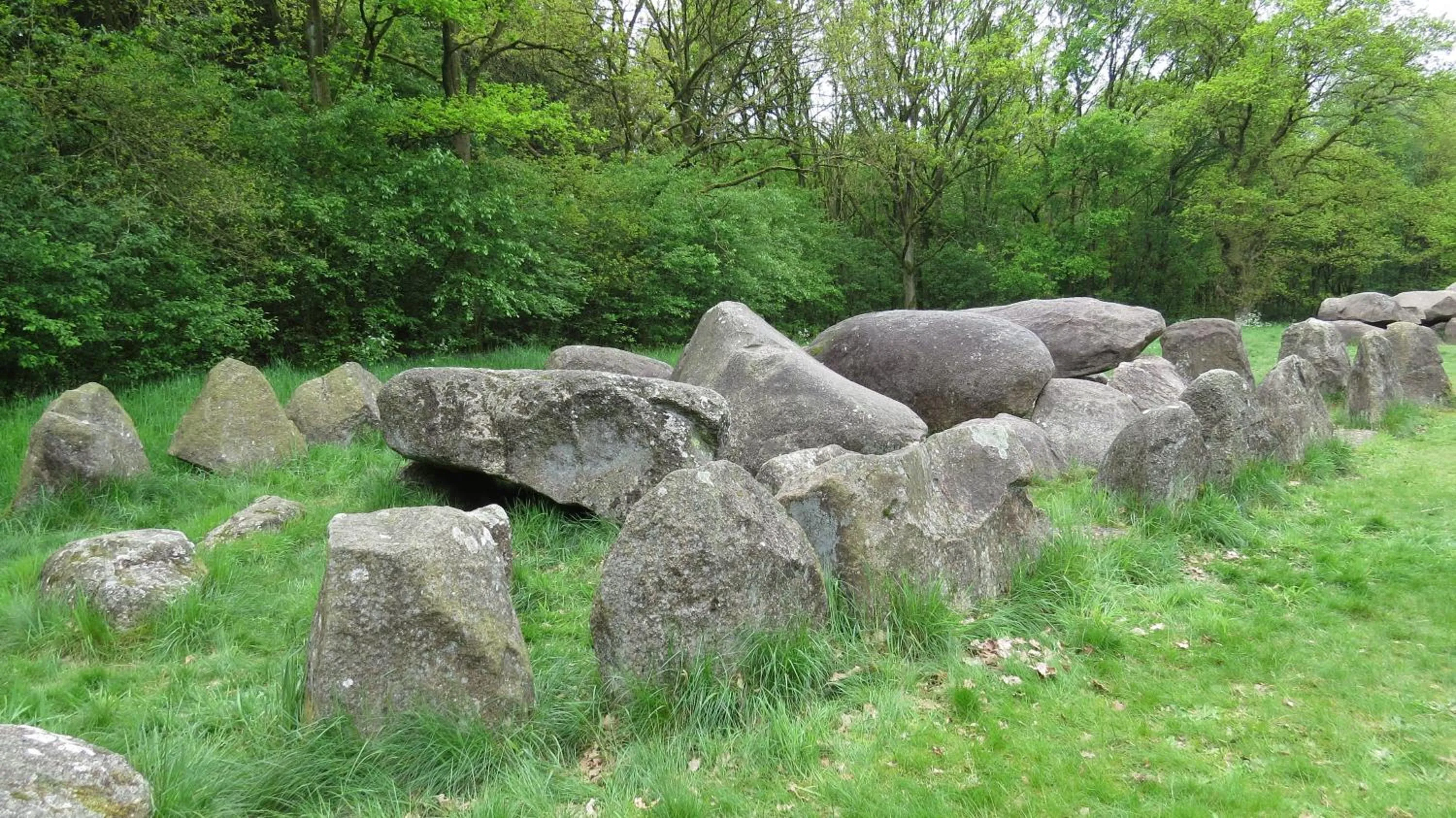 Natural landscape in 't Zwanemeer